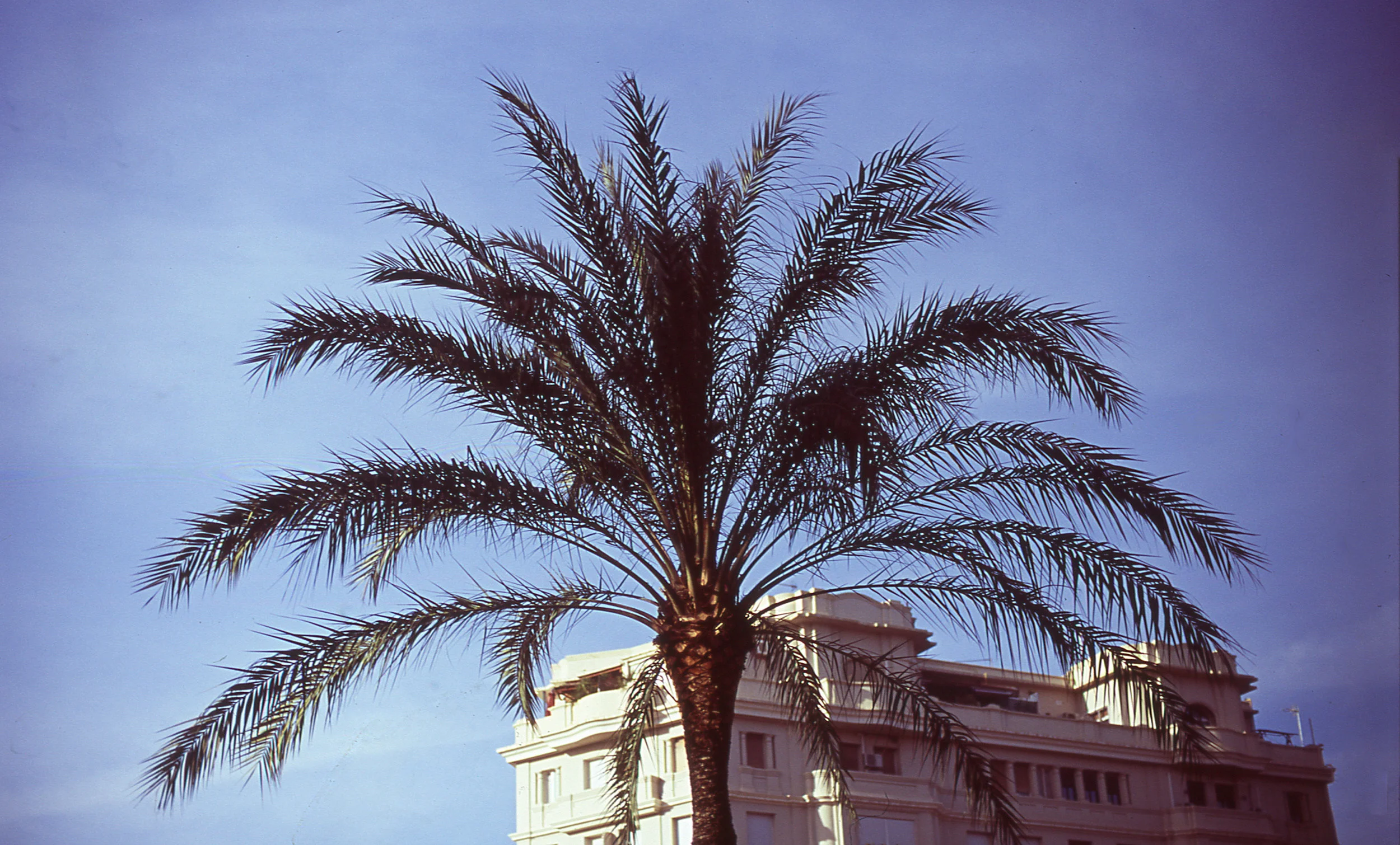 Valencia, SP / Nikon F3/ Velvia 100 / 3.8.18