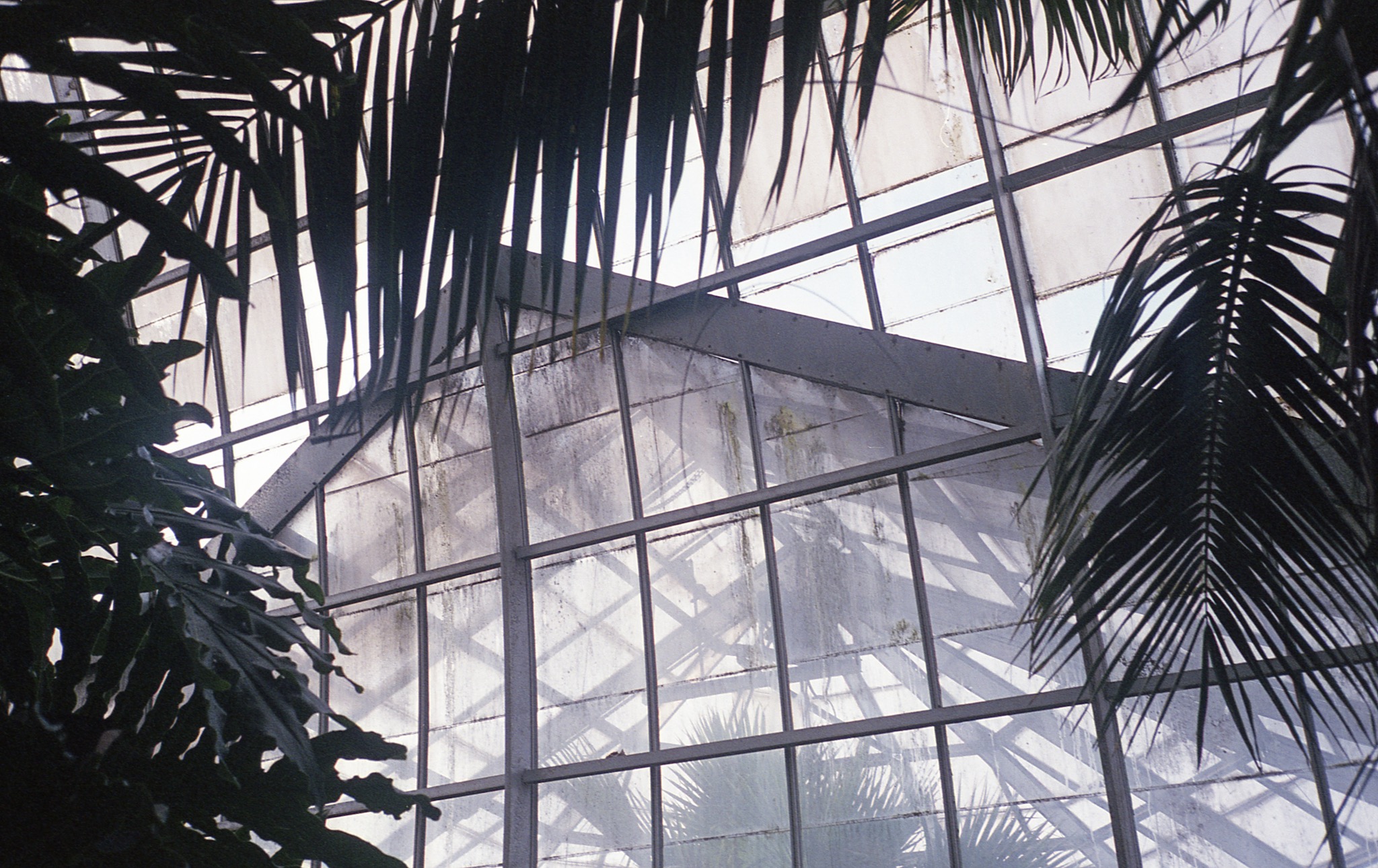 PA / Olympus Mju2 Stylus Epic /  Fujicolor Superia Xtra 400 / 8.11.18