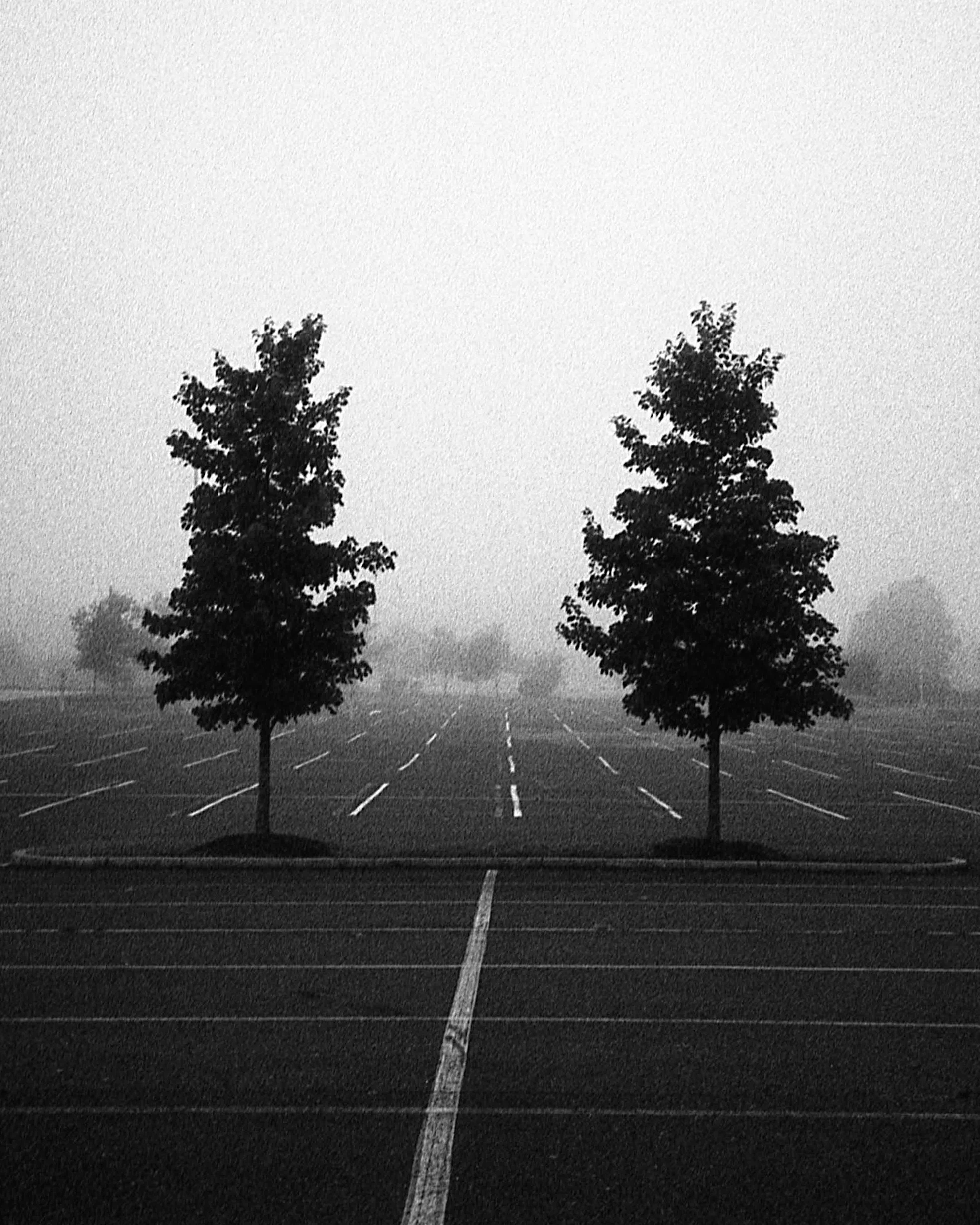 Voorhees, NJ / Olympus XA3 / Fomapan 400 / 9.12.18