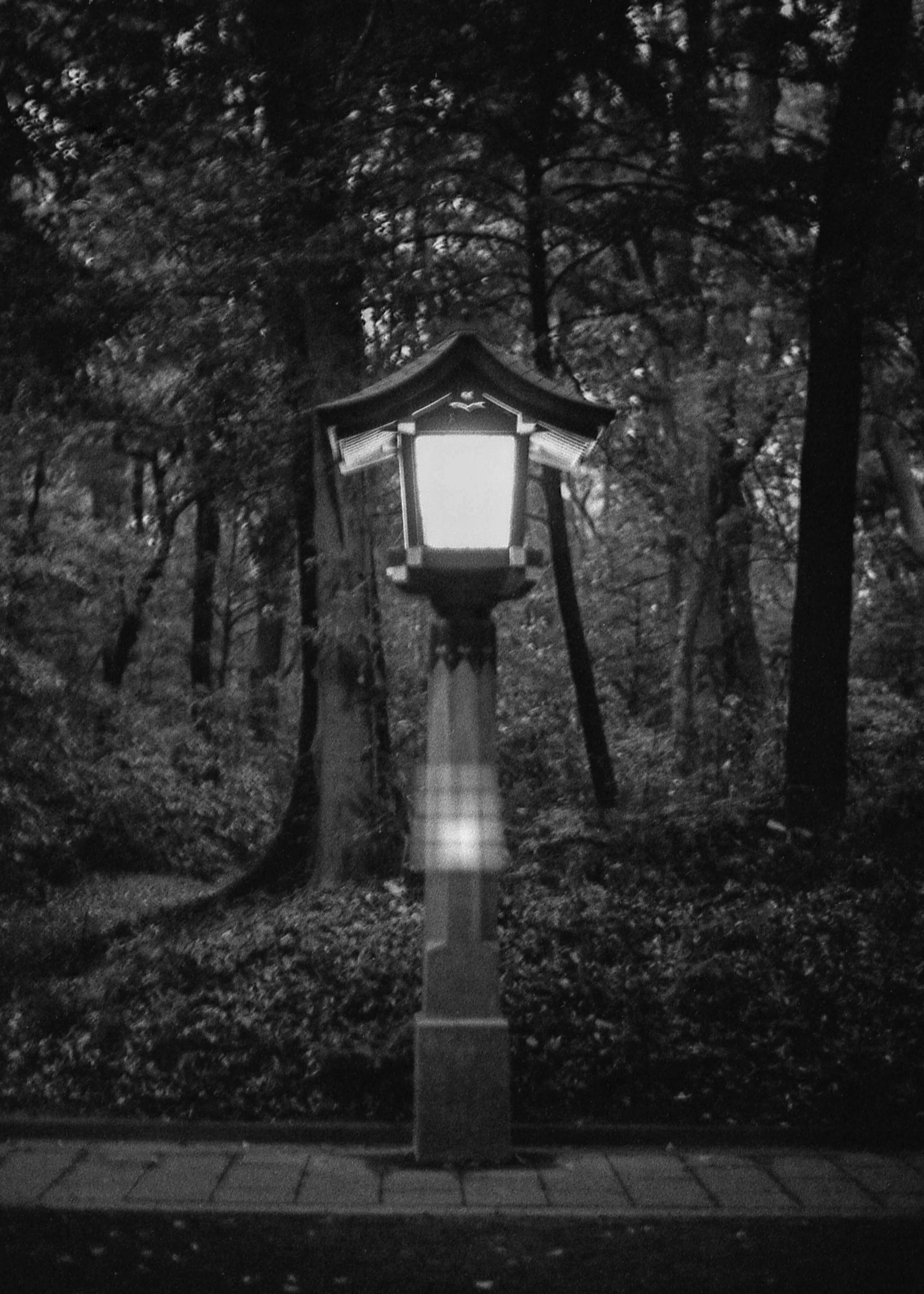 Tokyo, JP / Nikon F4 / JCHStreetpan400 / 10.19.18