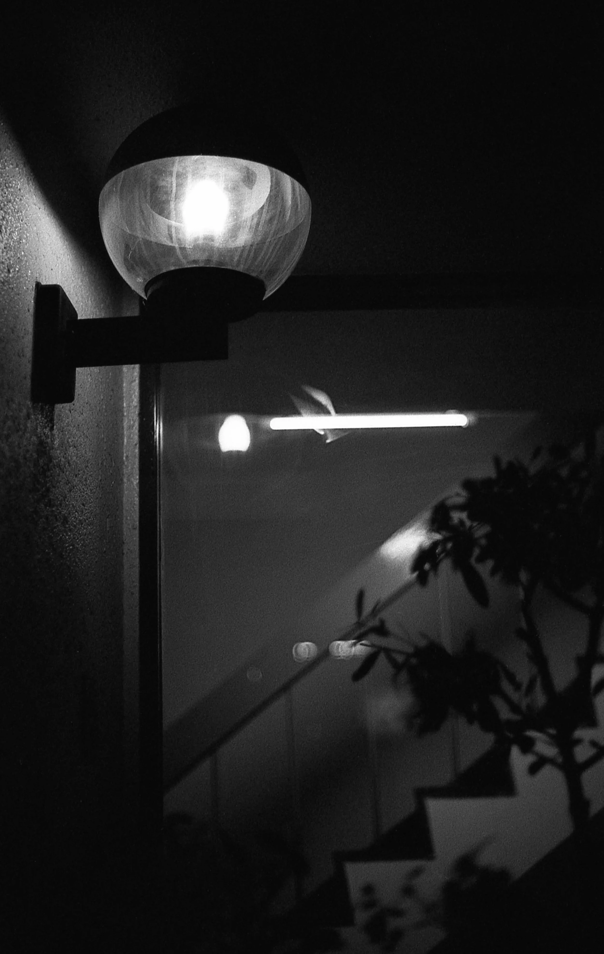 Tokyo, JP / Nikon F4 / JCHStreetpan400 / 10.19.18