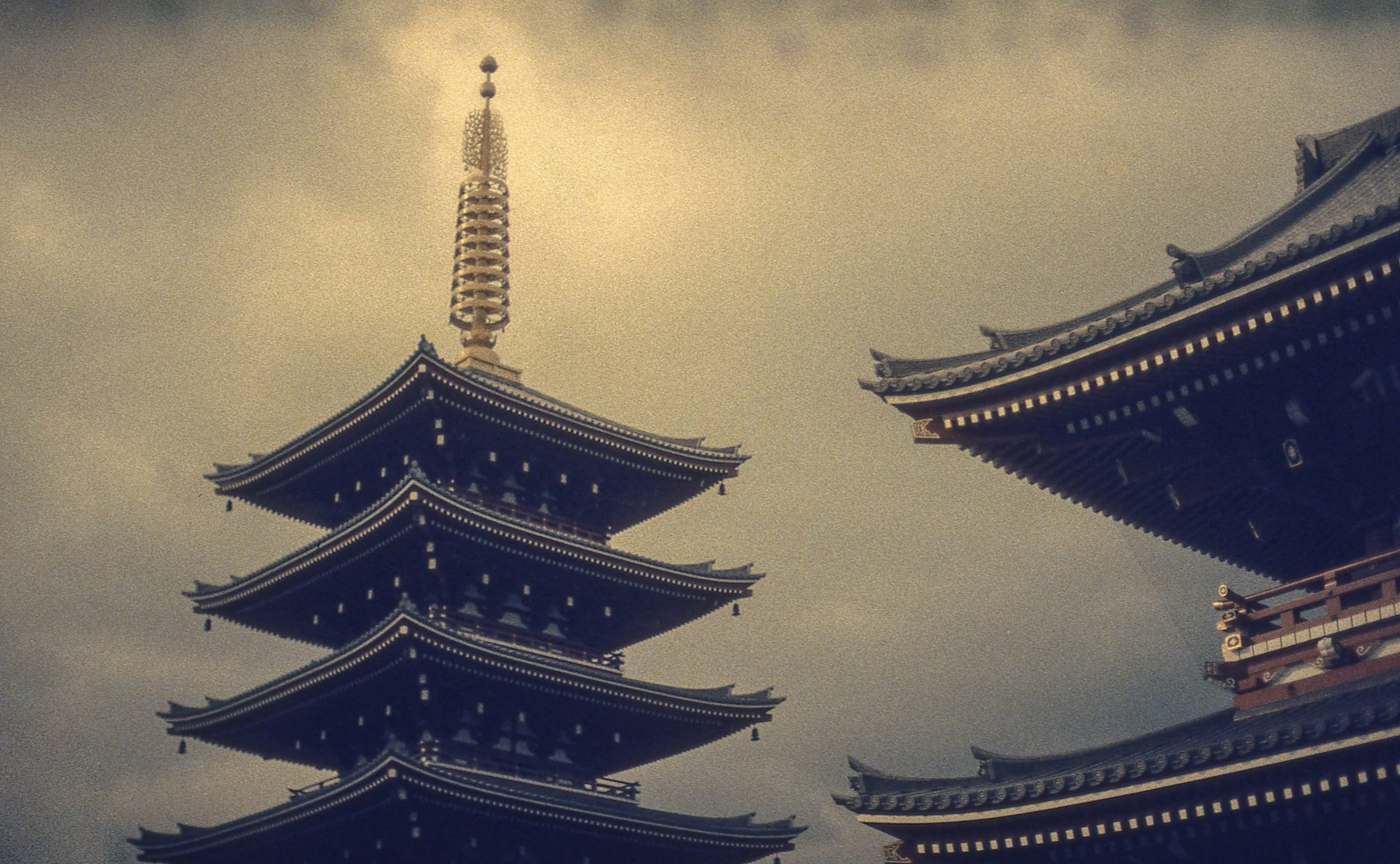 Tokyo, JP / Nikon F4 / RetroChrome320 / 10.19.18