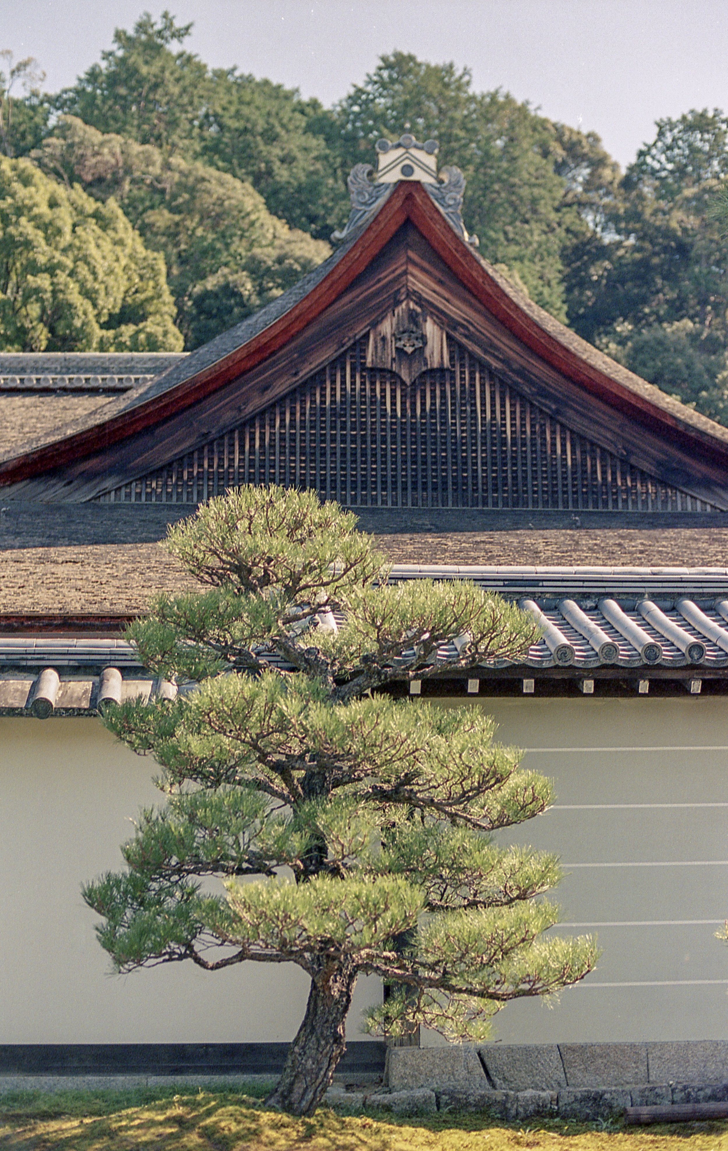 Kyoto, JP / Nikon F4 / Portra400 / 10.14.18