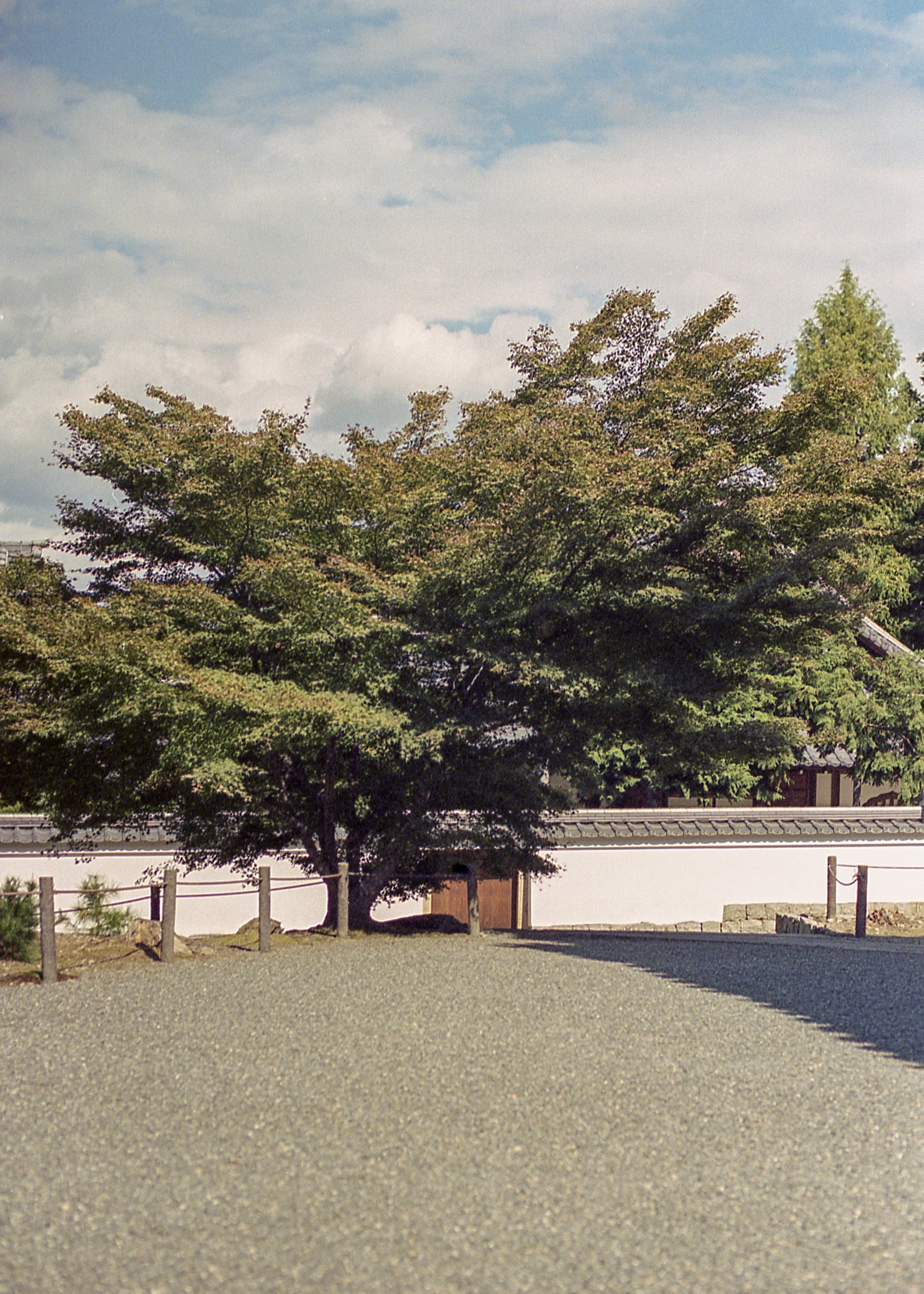 Kyoto, JP / Nikon F4 / Portra400 / 10.14.18