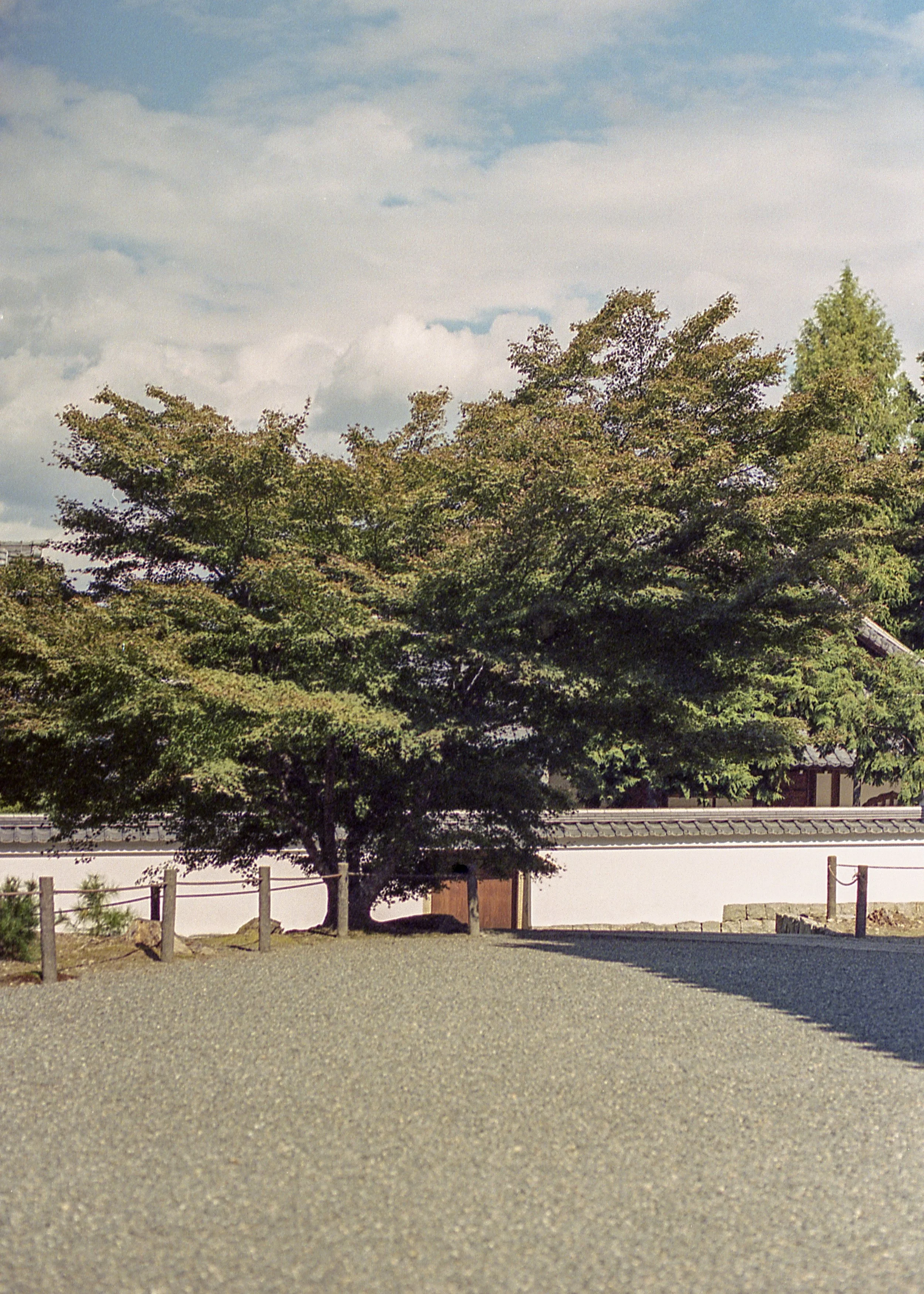 Kyoto, JP / Nikon F4 / Portra400 / 10.14.18