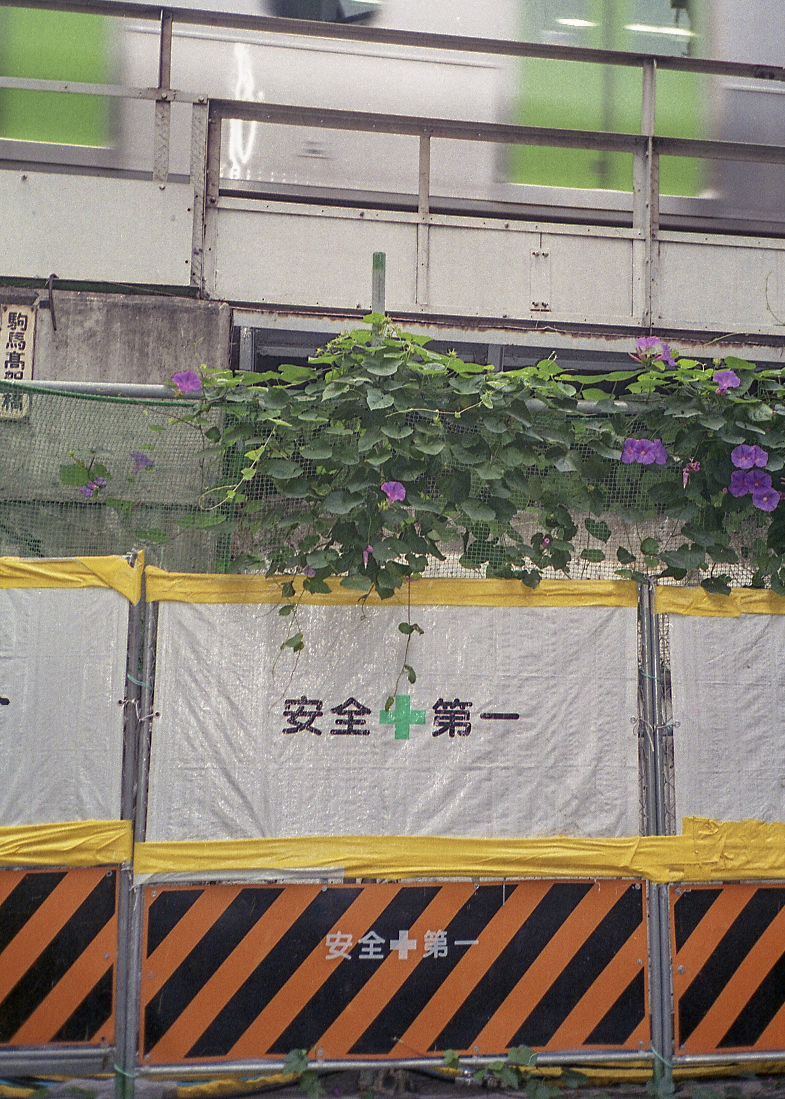 Tokyo, JP / Olympus Mju2 Stylus Epic / Fujicolor200 / 10.13.18