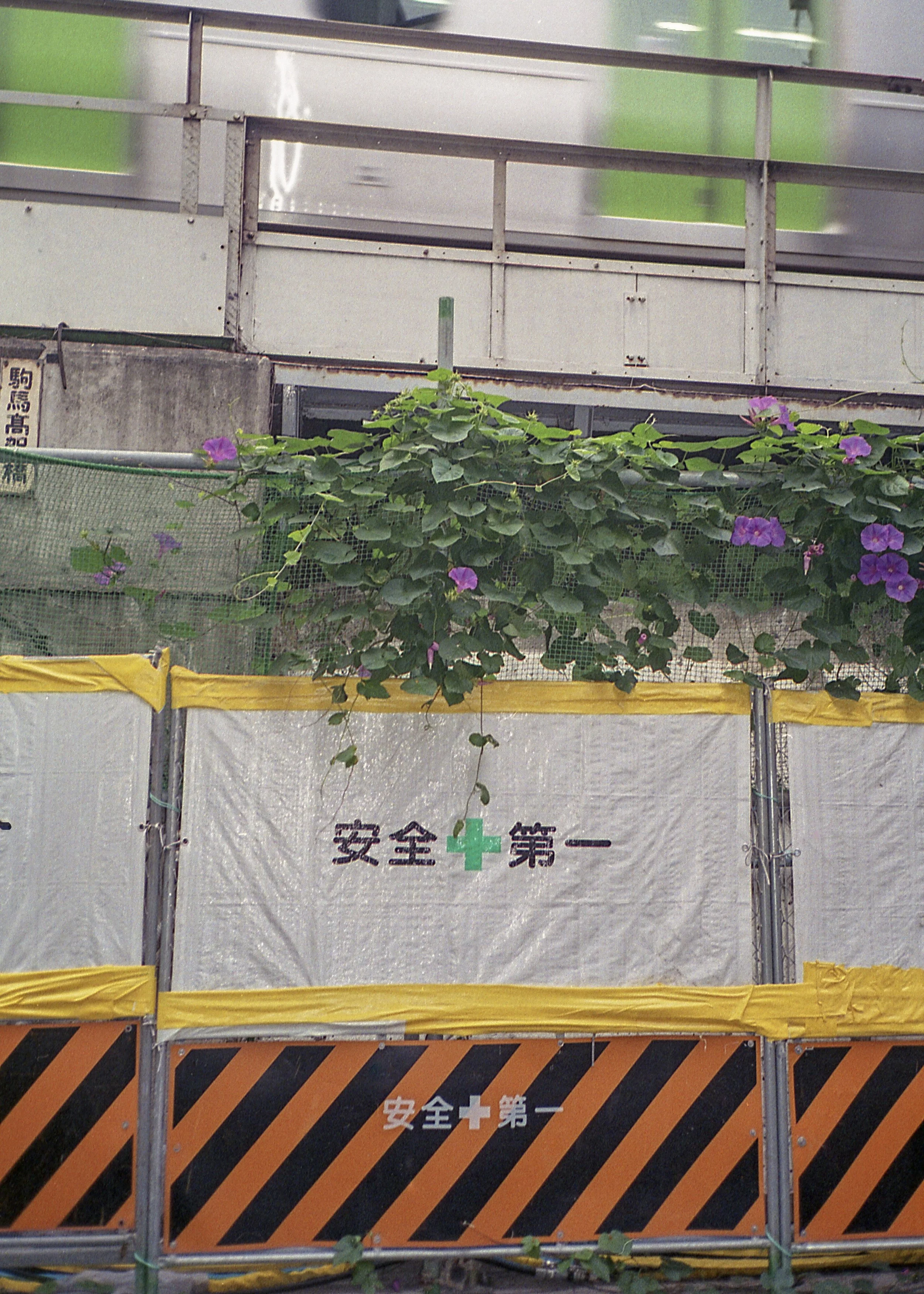 Tokyo, JP / Olympus Mju2 Stylus Epic / Fujicolor200 / 10.13.18