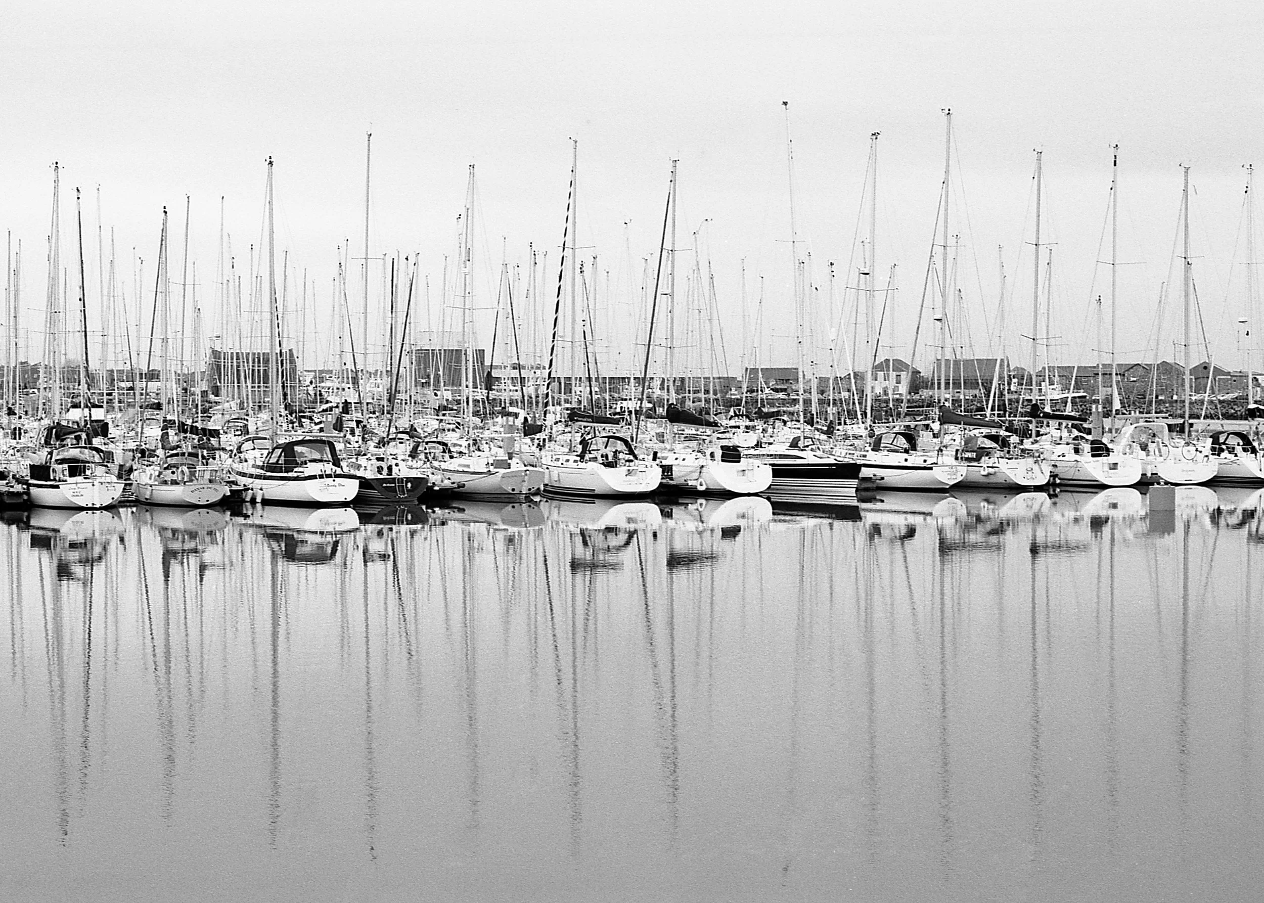 Howth, IR / Nikon F100 / Acros100 / 1.7.19