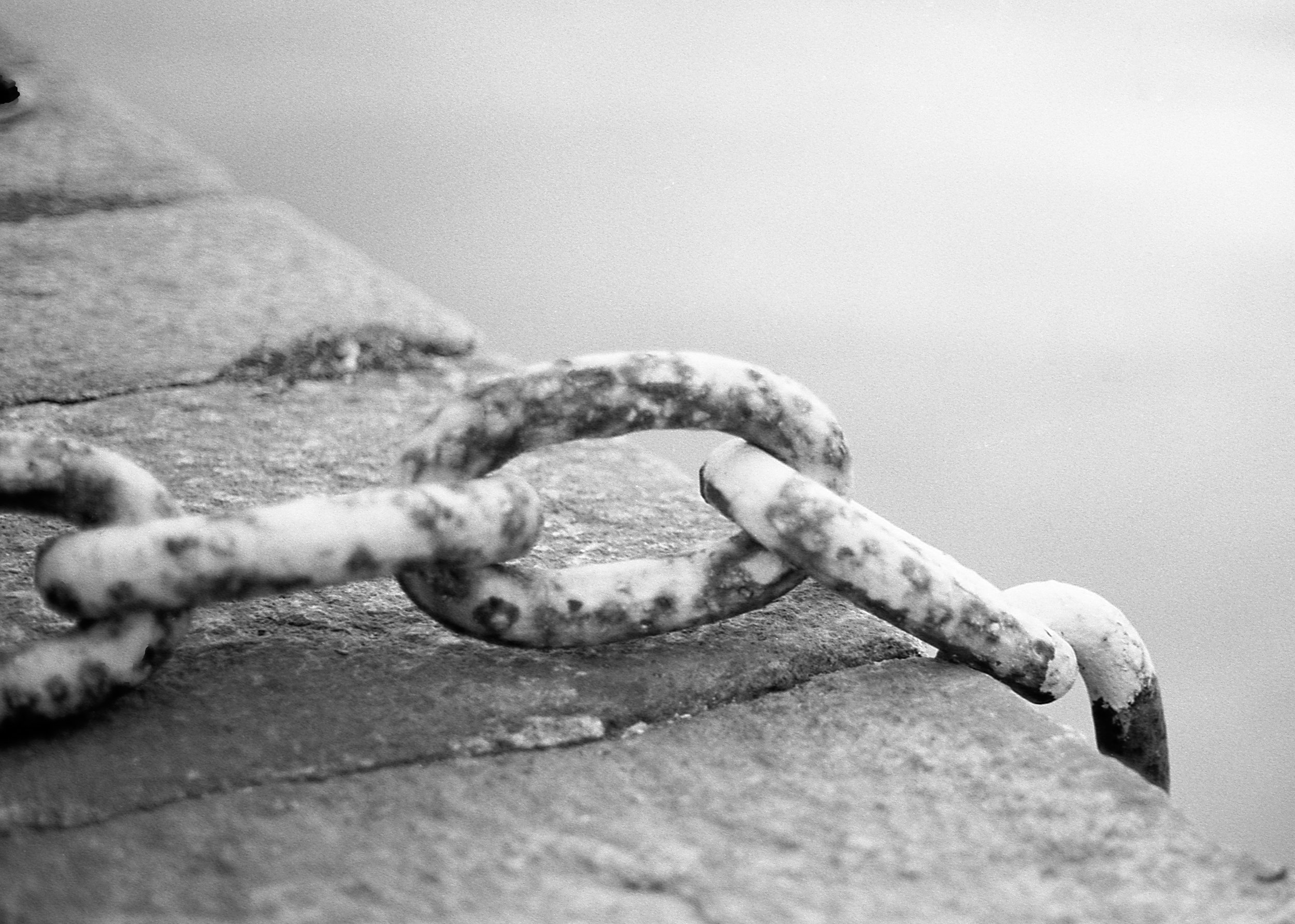 Howth, IR / Nikon F100 / Acros100 / 1.7.19