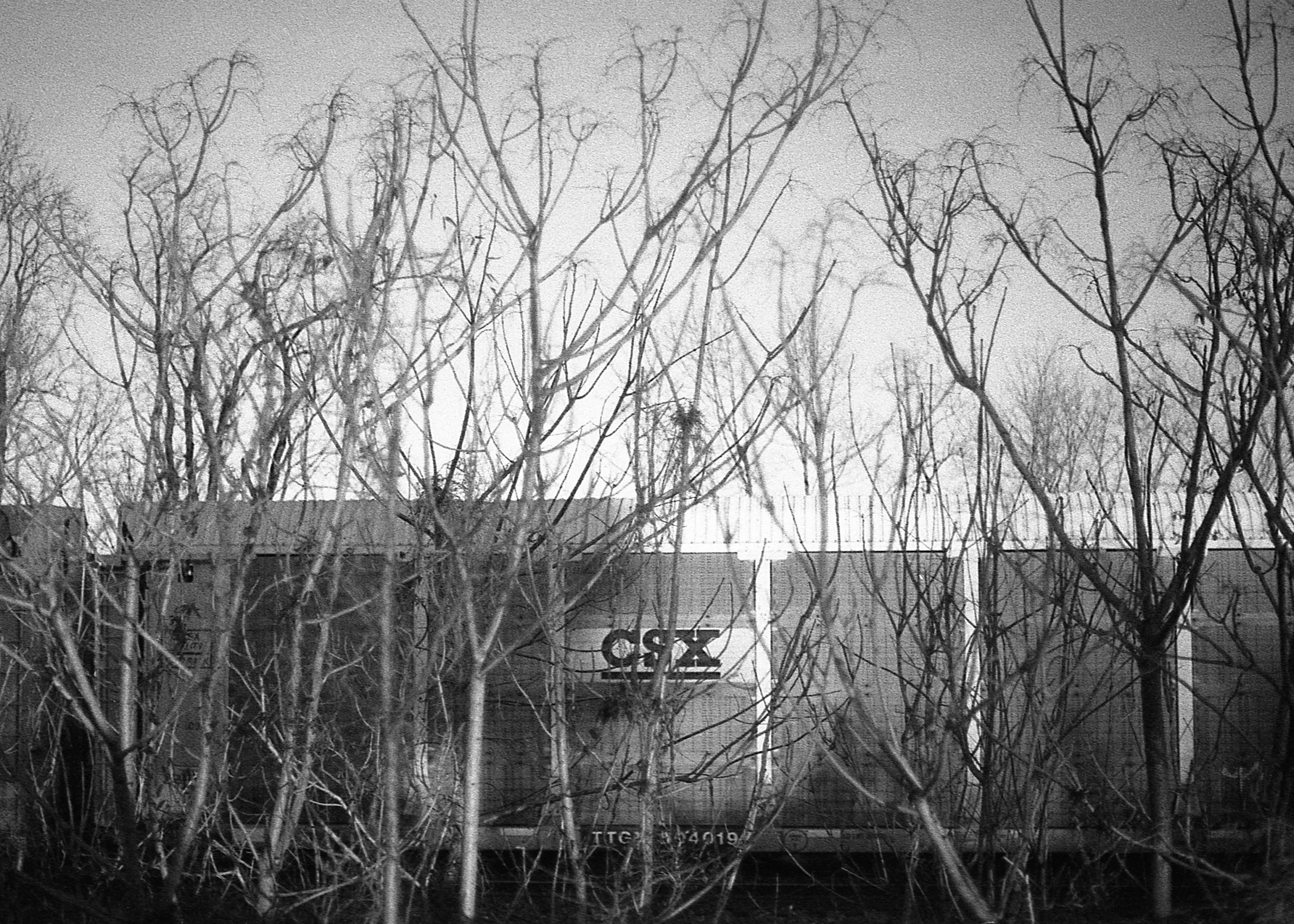 I-95S, PA / Nikon f100 / AristaEdu400 / 12.19.18