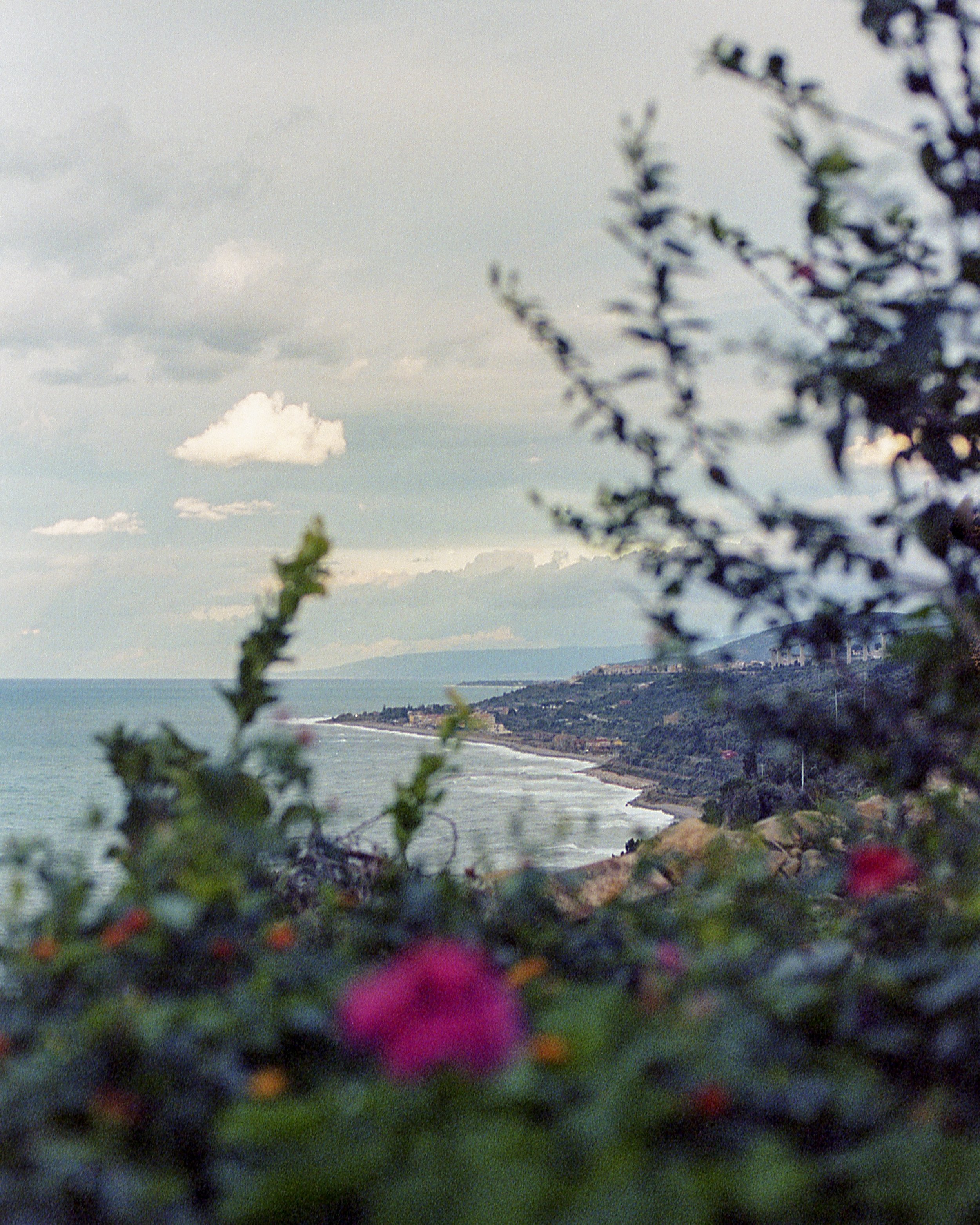 Torremuzza, IT / Nikon F100 / Portra400 / 12.31.18