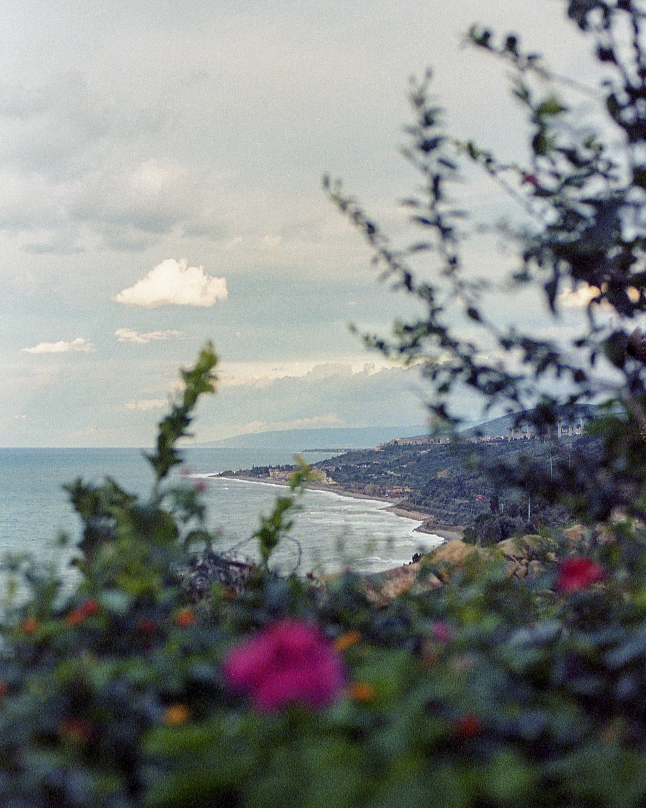 Torremuzza, IT / Nikon F100 / Portra400 / 12.31.18