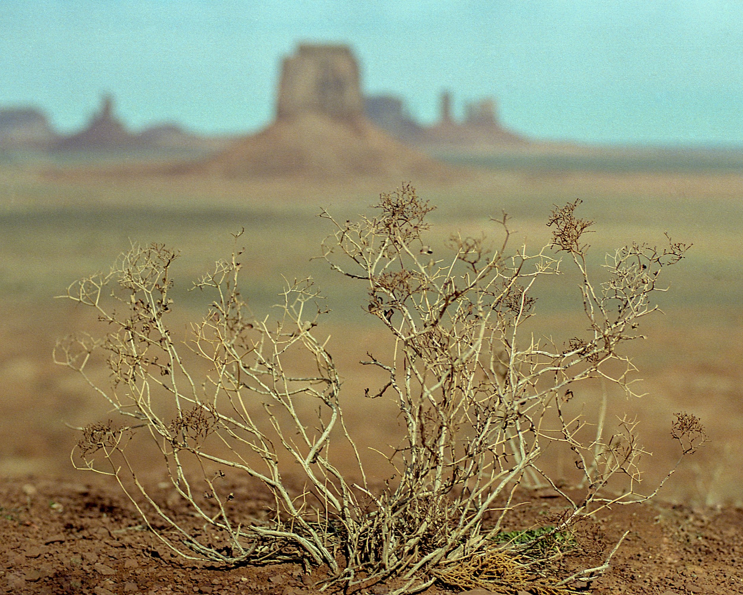 Oljato-Monument Valley, AZ / Nikon F4 / portra400 / 3.1.19