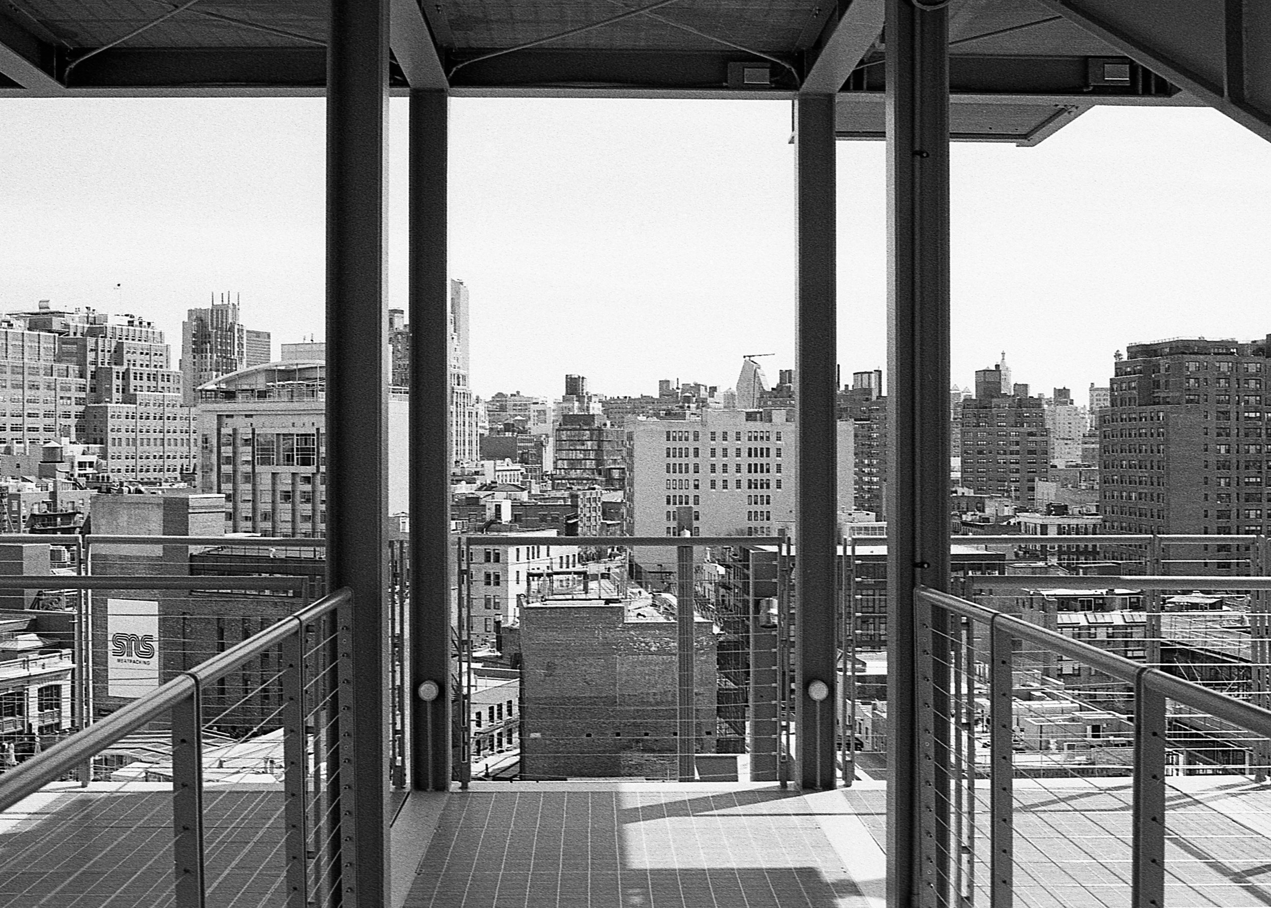 NY, NY / Nikon F100 / Cinestill bwxx / 3.28.19