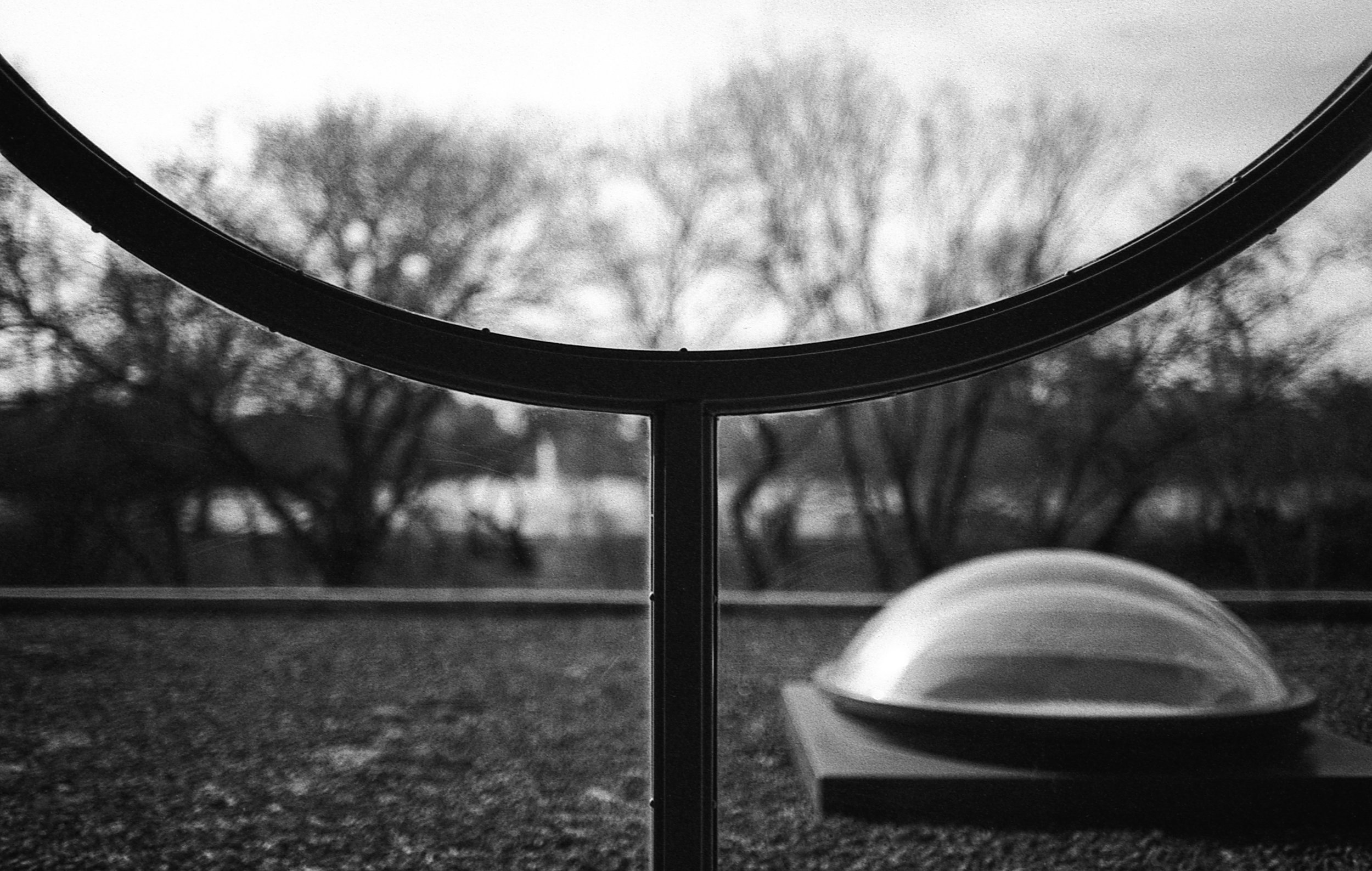 NY, NY / Nikon F100 / santarae1000 / 3.28.19