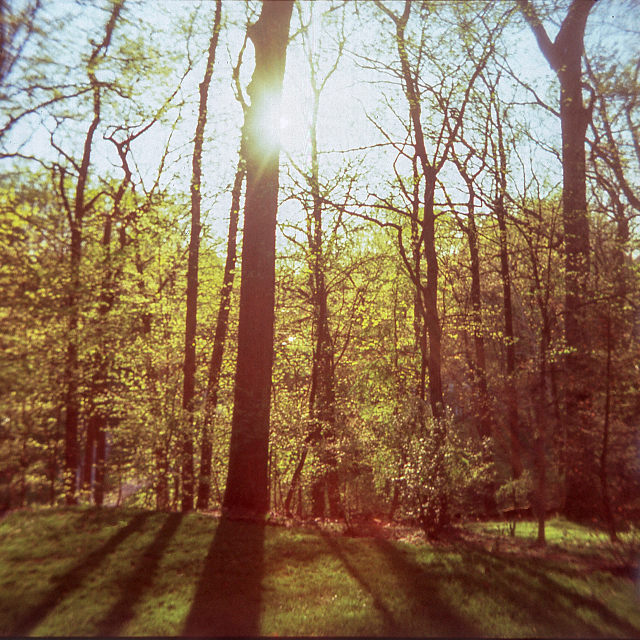 PA / kodak stereo 35mm / velvia 100 exp.11.06 / 4.20.19