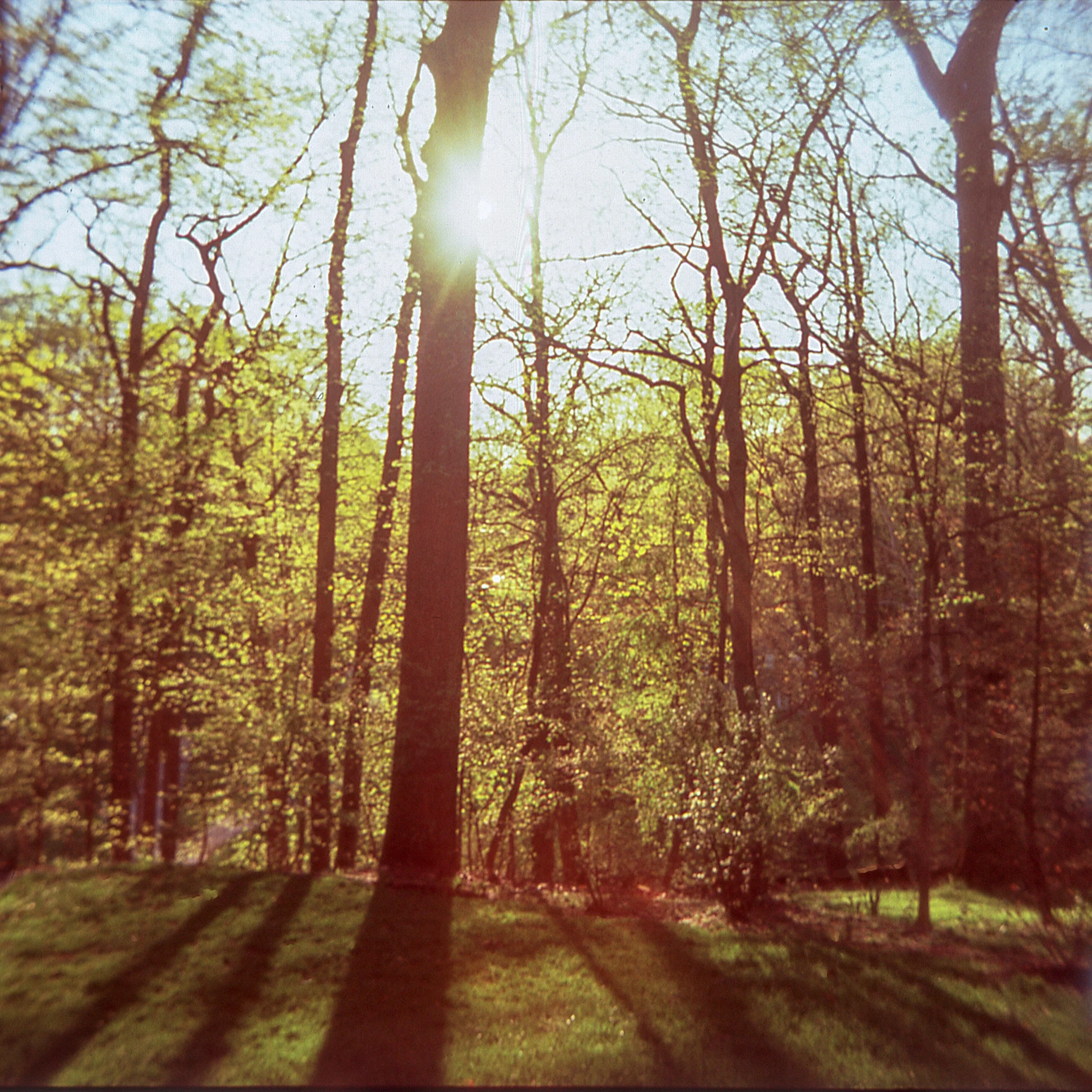 PA / kodak stereo 35mm / velvia 100 exp.11.06 / 4.20.19