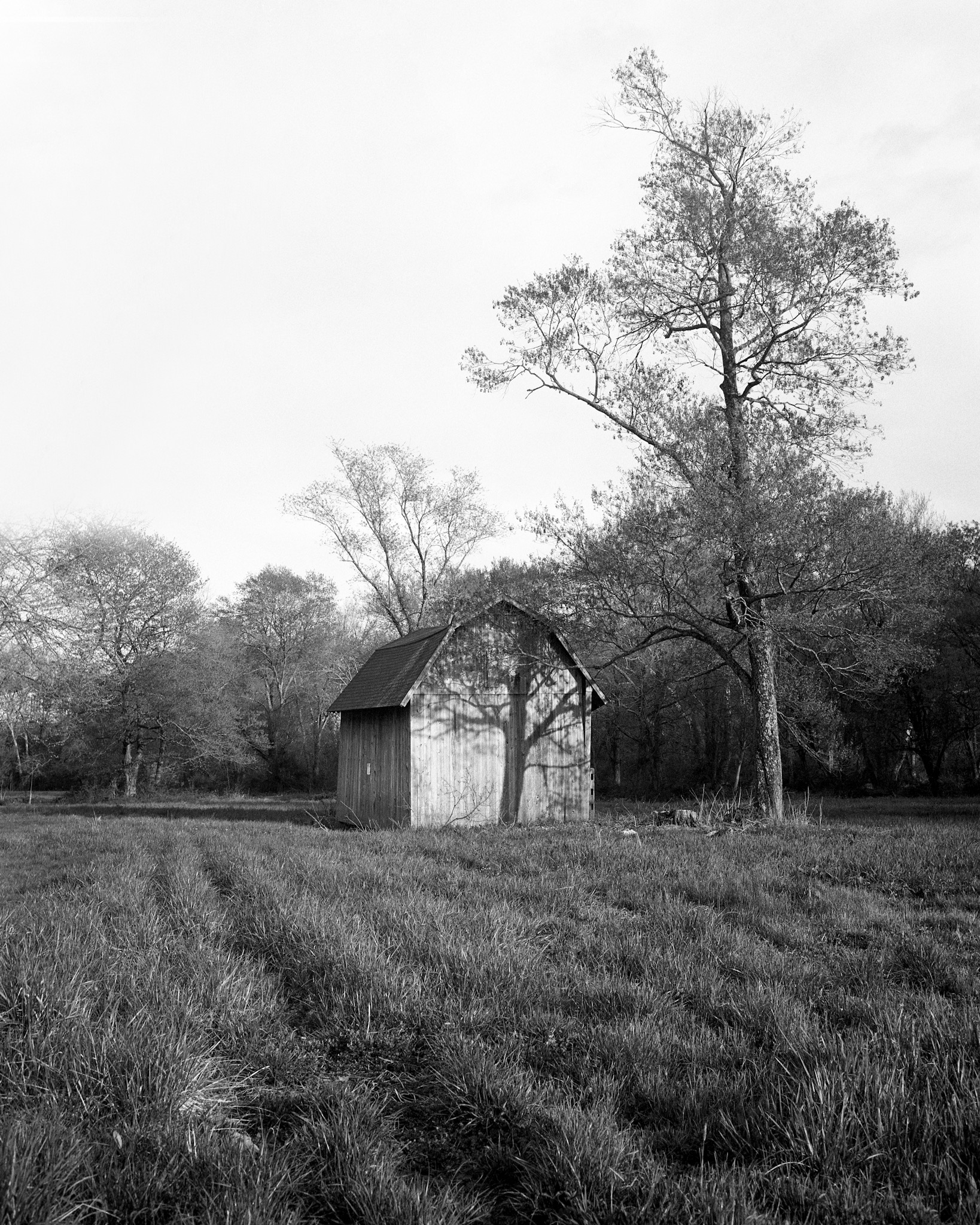 PA / Crown Graphic 4x5 / berggerpancro 400 / 4.15.19