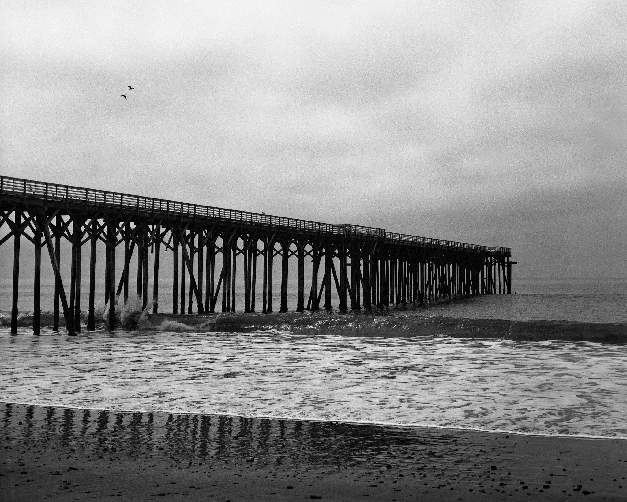 San Simeon, CA / Anba Ikeda 4x5 / berggerpancro 400 / 5.13.19
