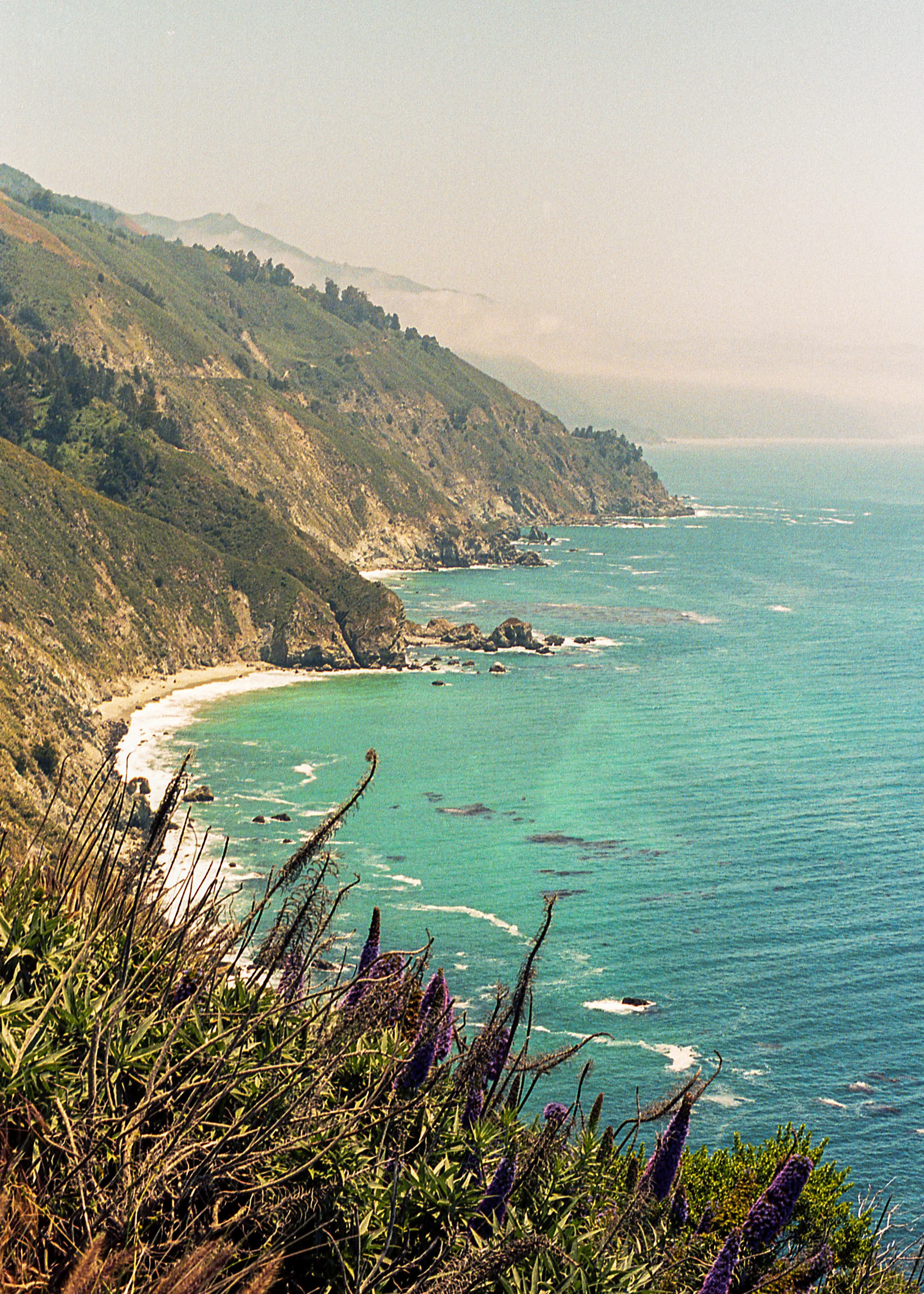 Big Sur, CA / Nikon F3 / Portra400 / 5.12.19