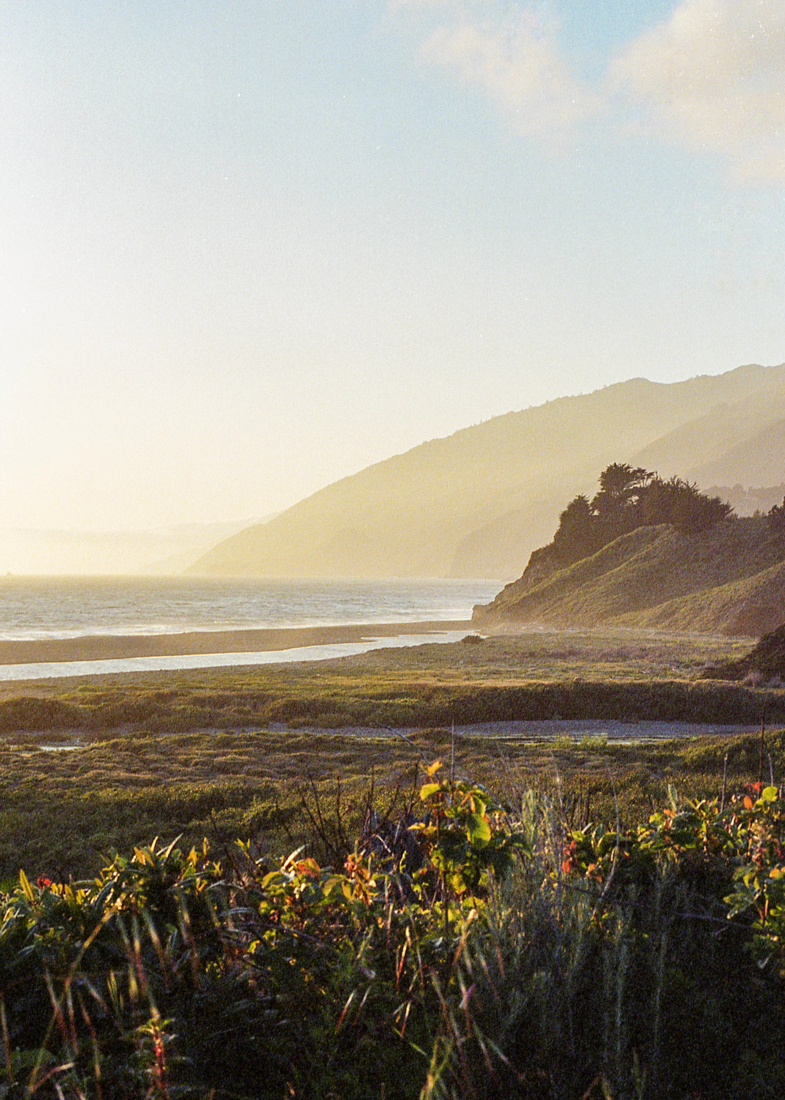 Ragged Point, CA / Nikon F3 / Portra400 / 5.11.19