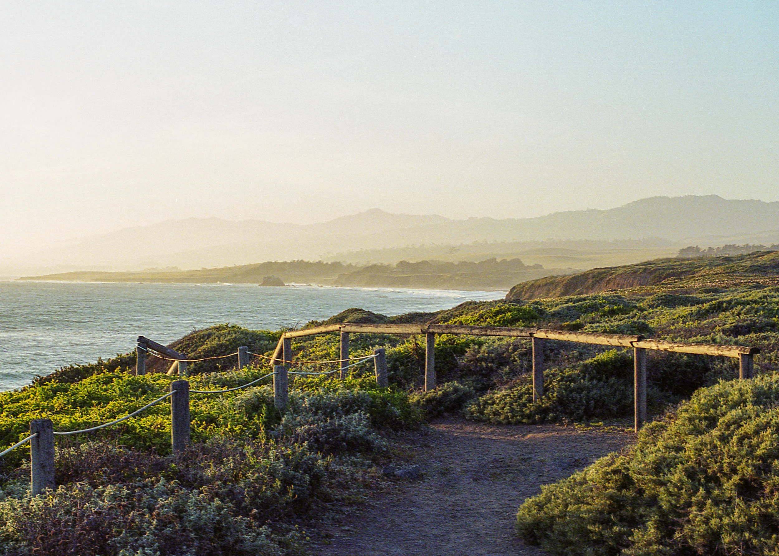 Cambria, CA / Nikon F3 / Portra400 / 5.10.19