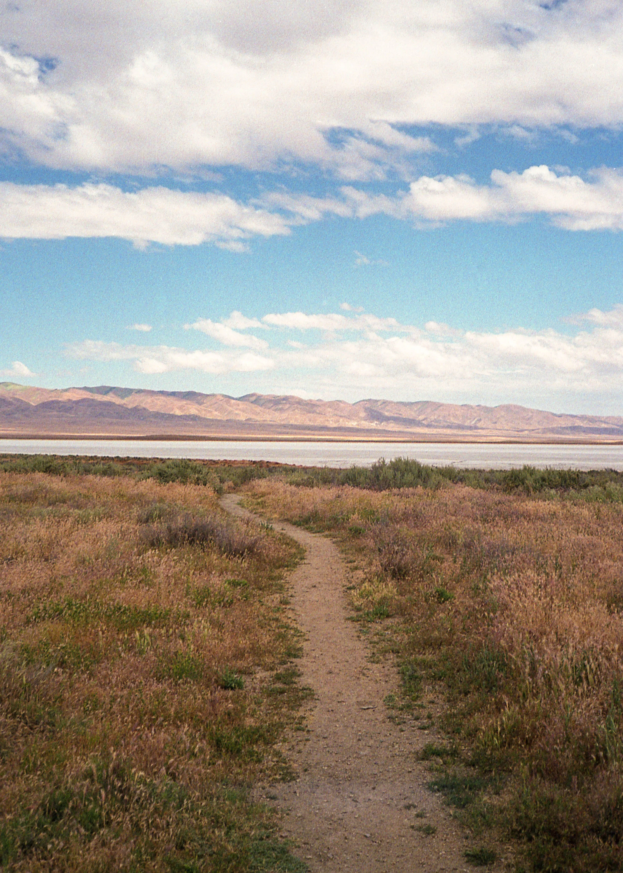 Carrizo Plains, CA / Olympus Mju2 Stylus Epic / FujiColor200 / 5.5.19