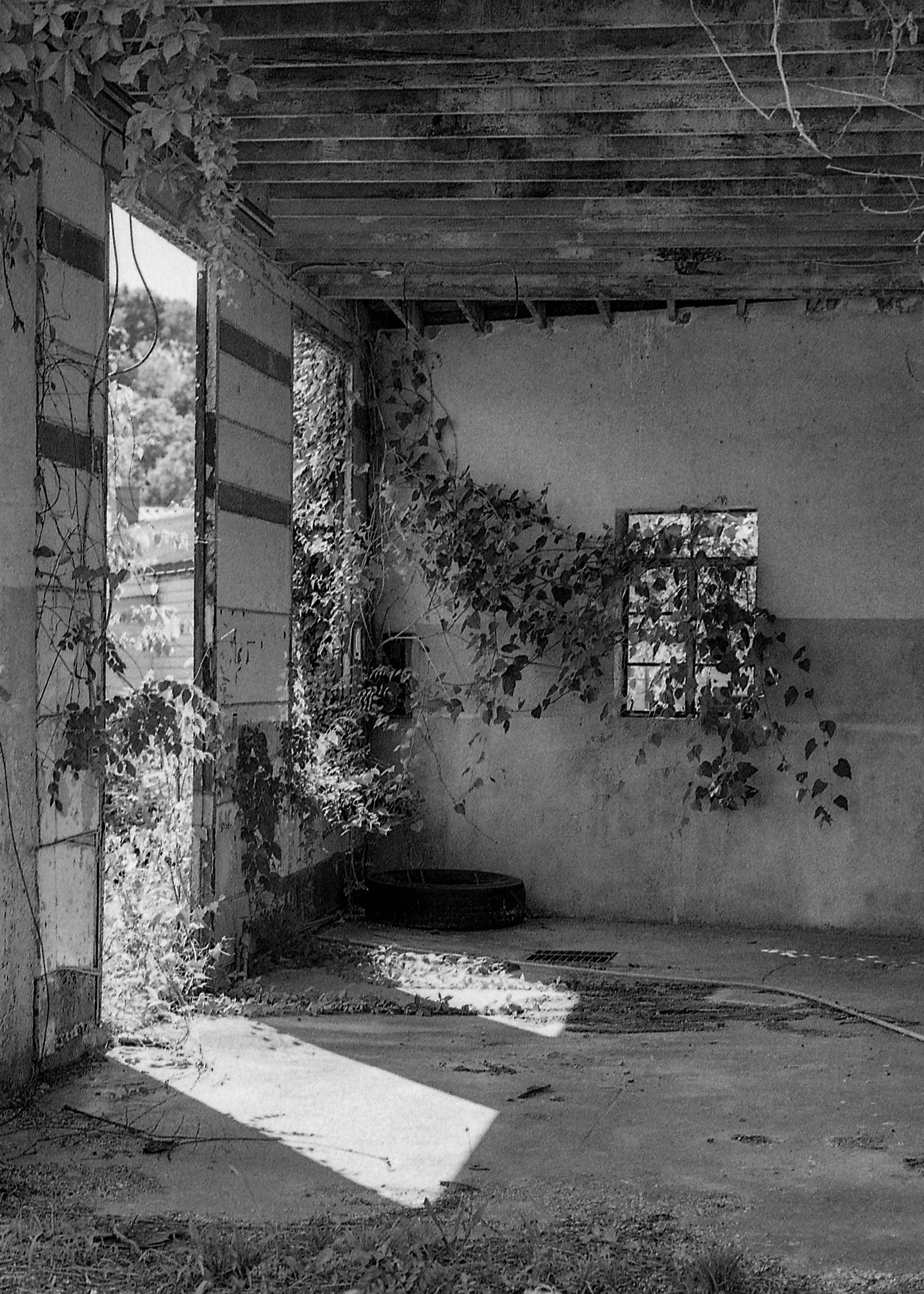 Frankfort, KY / Nikon F3 / Delta400 / 6.13.19
