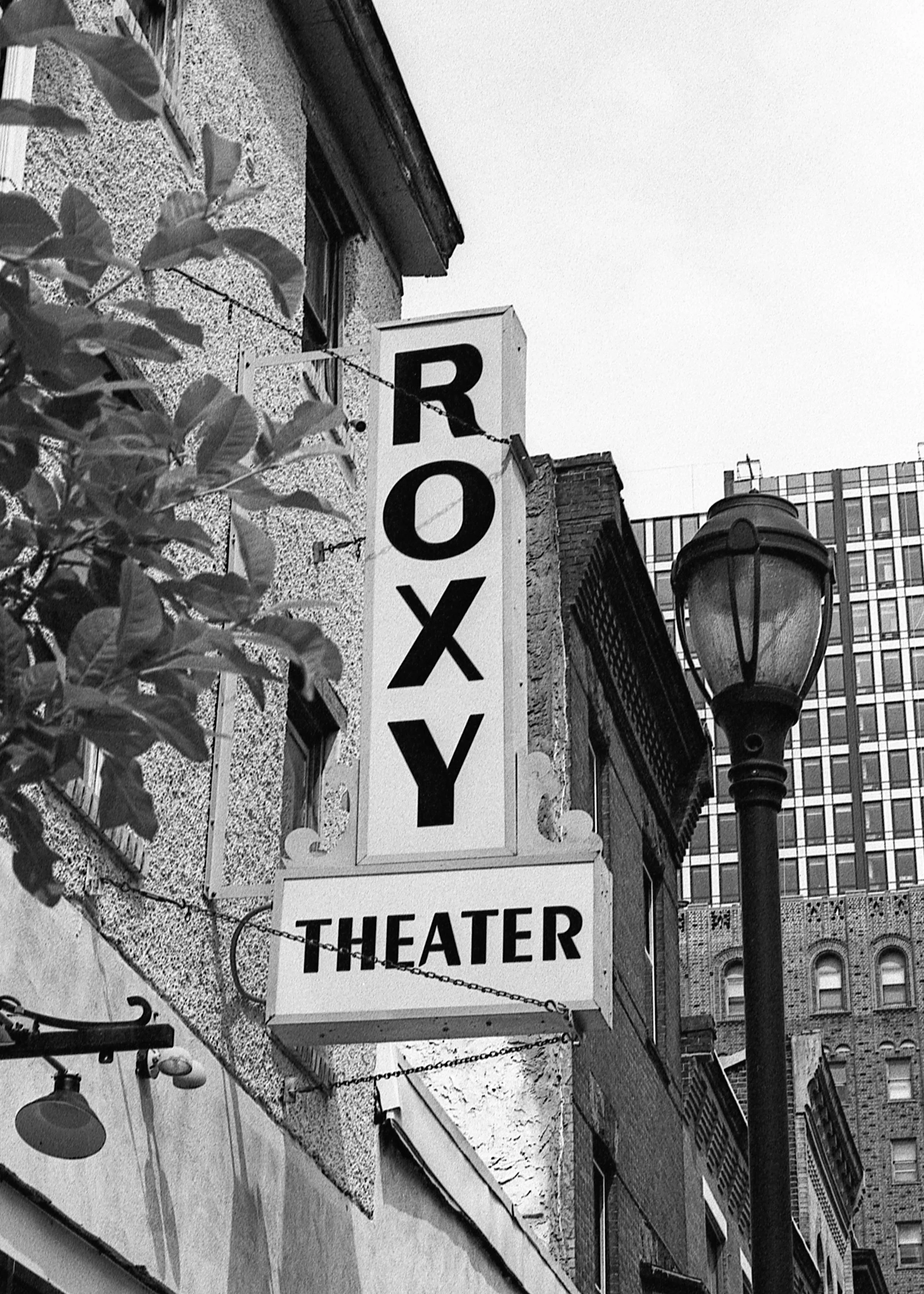 PHL / Nikon F3 / JCH400 / 6.1.19