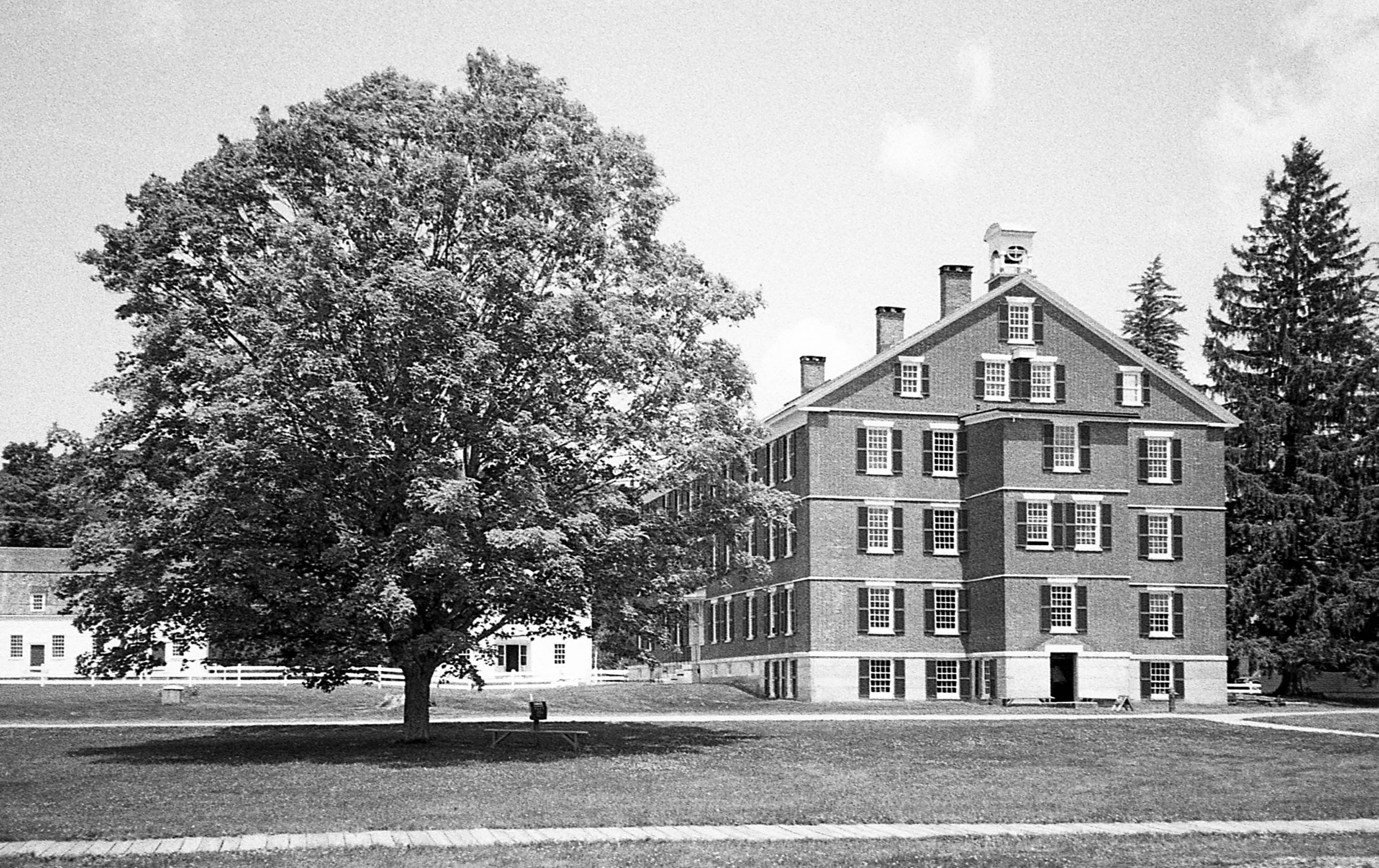 Hancock, MA / olympus zoom stylus zoom 105 / Trix400 / 7.14.19