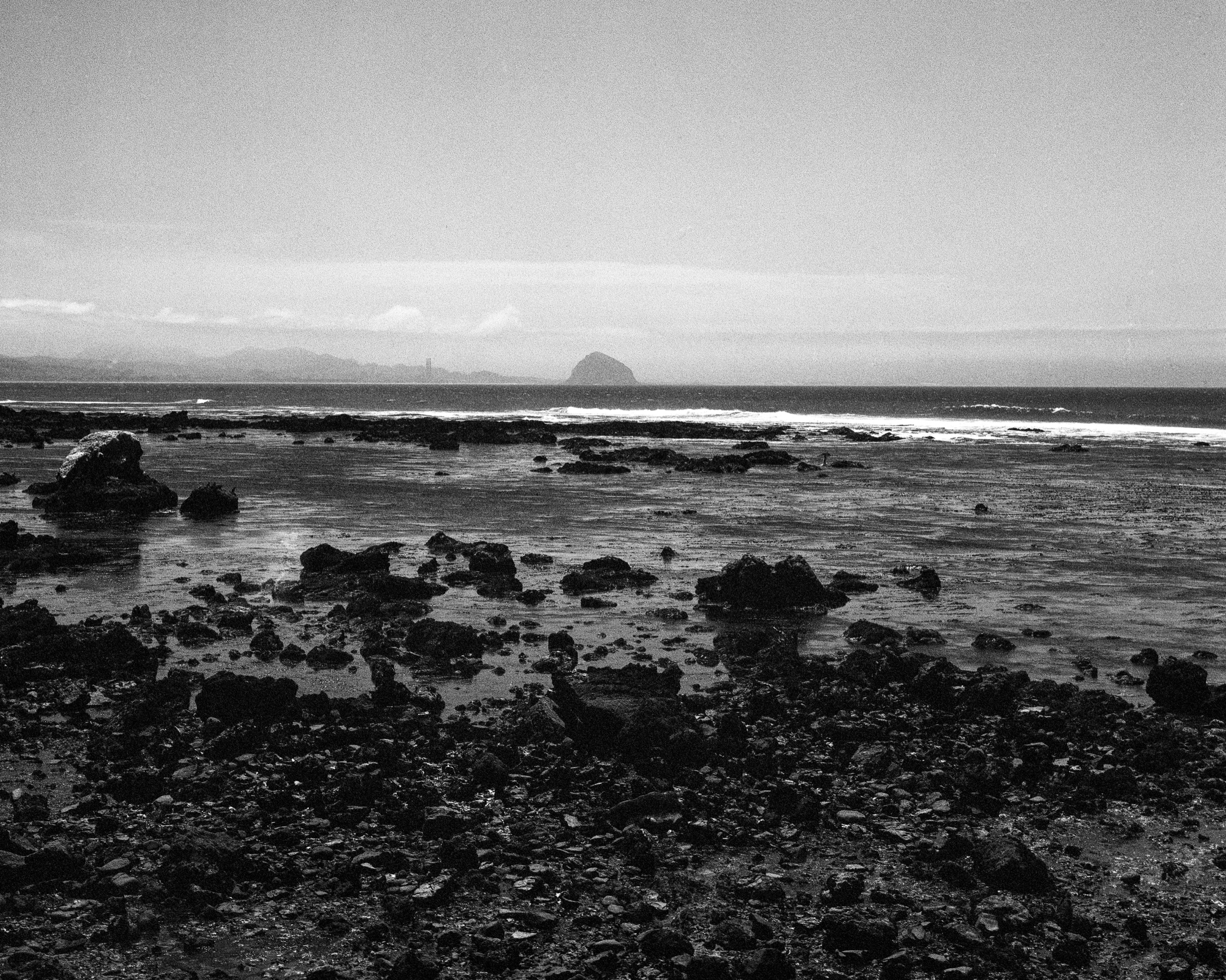 Cayucos, CA / Anba Ikeda 4x5 / berggerpancro 400 / 5.13.19