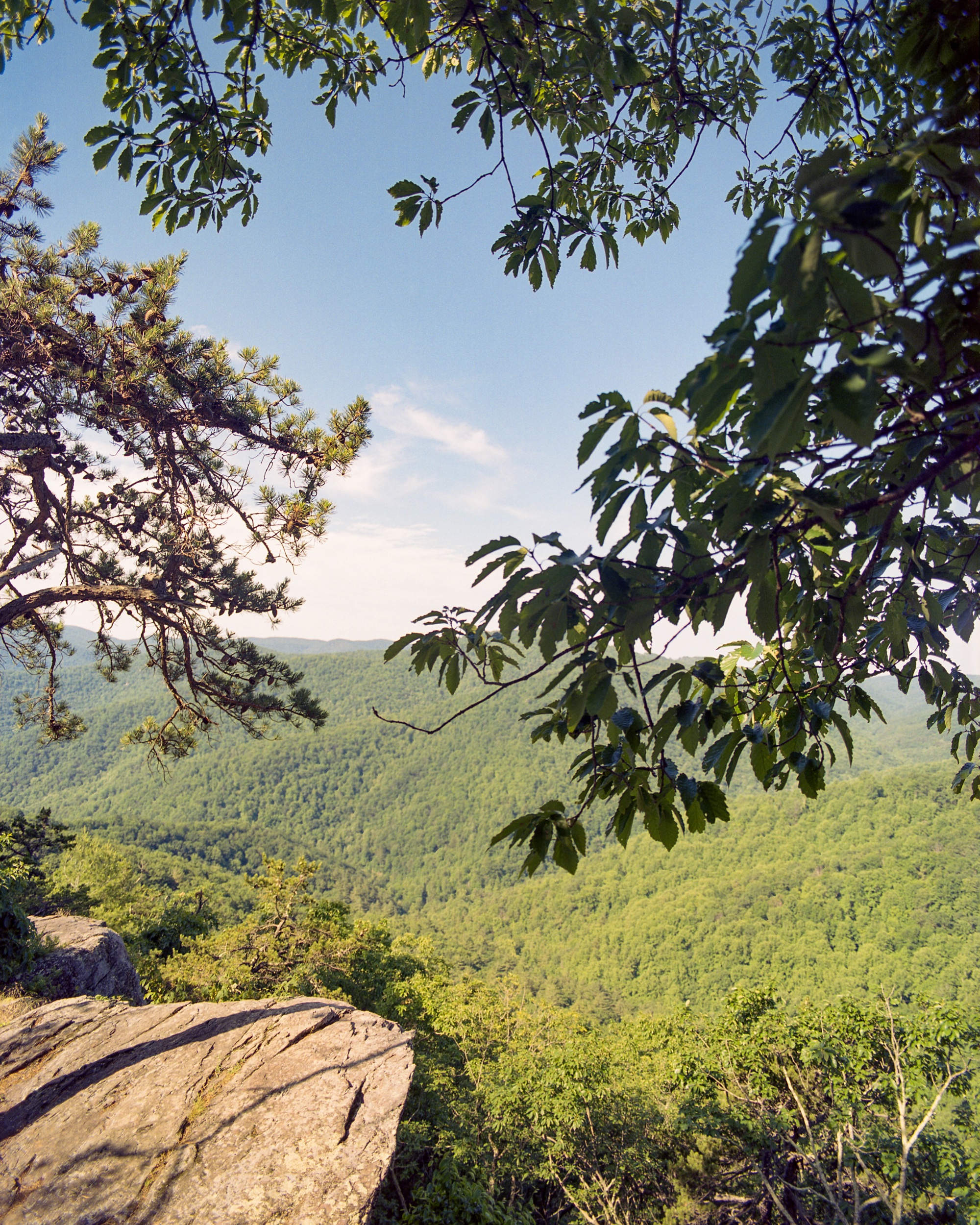 Blue Ridge Parkway, VA / pentax67 / Portra400 / 6.4.19
