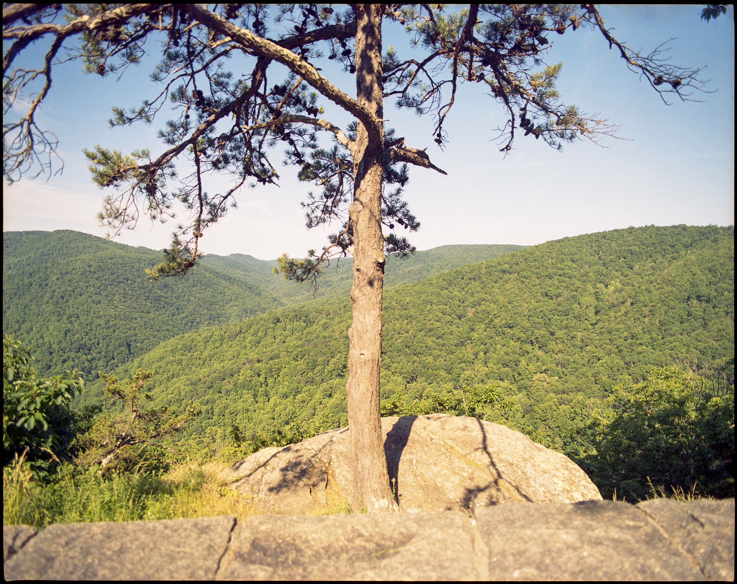 Blue Ridge Parkway, VA / pentax67 / Portra400 / 6.4.19