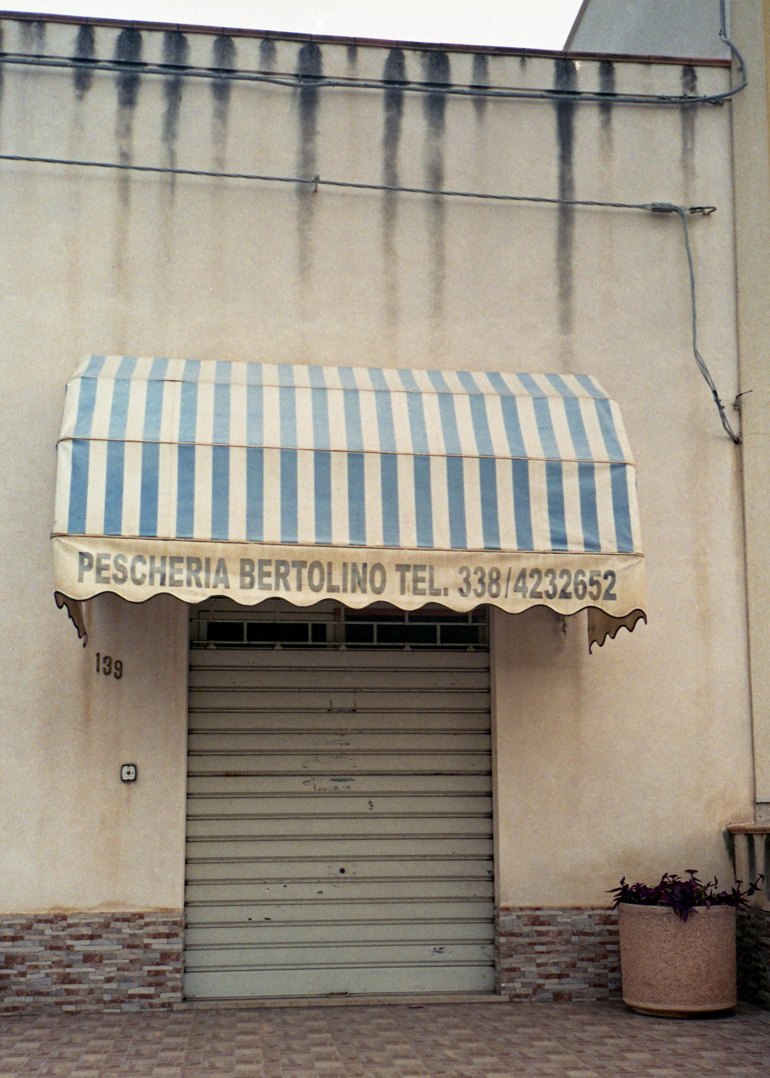 Marsala, IT / Olympus Mju2 Stylus Epic / fujicolor200 / 1.3.19