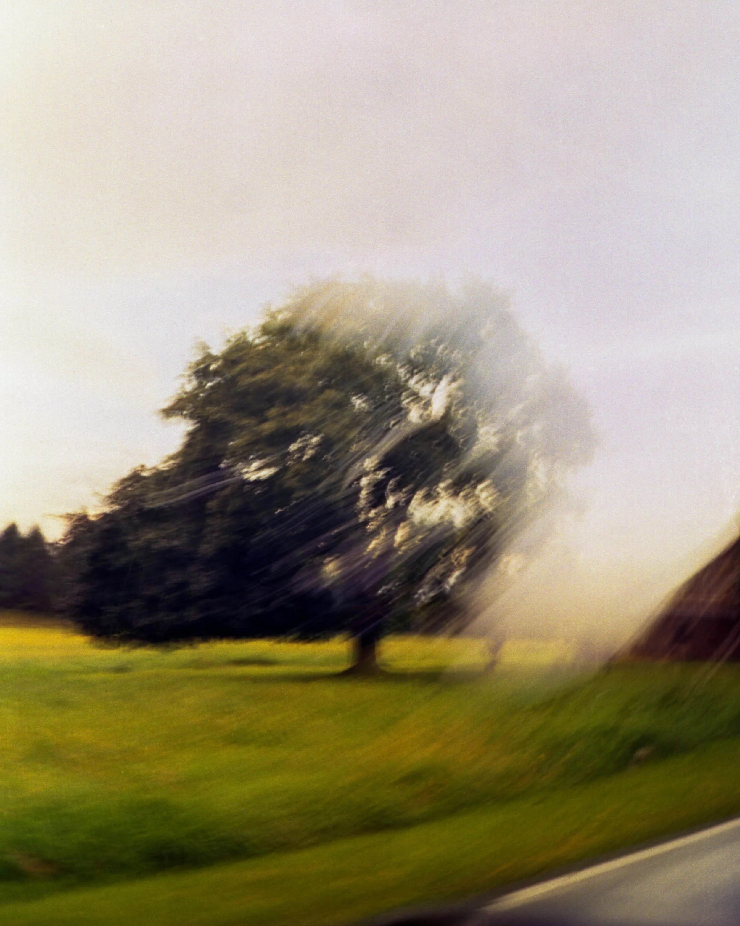 Chadds Ford, PA / Broken Fuji Tiara II + Double Exposure / Ektar100 / 8.23.19