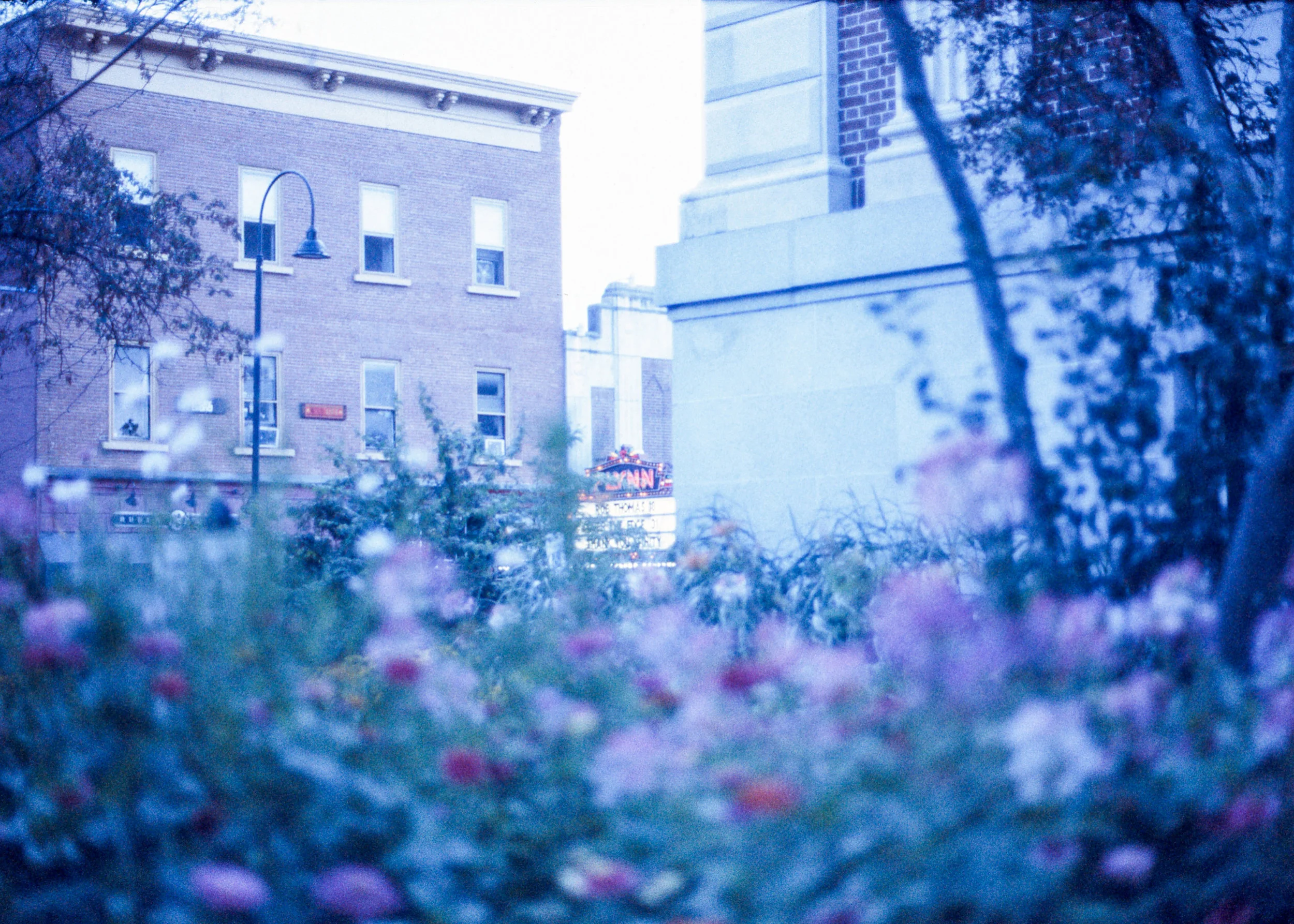 Burlington, VT / Nikon F3 + Voigtlander 58mm / Retrochrome160 / 8.18.19