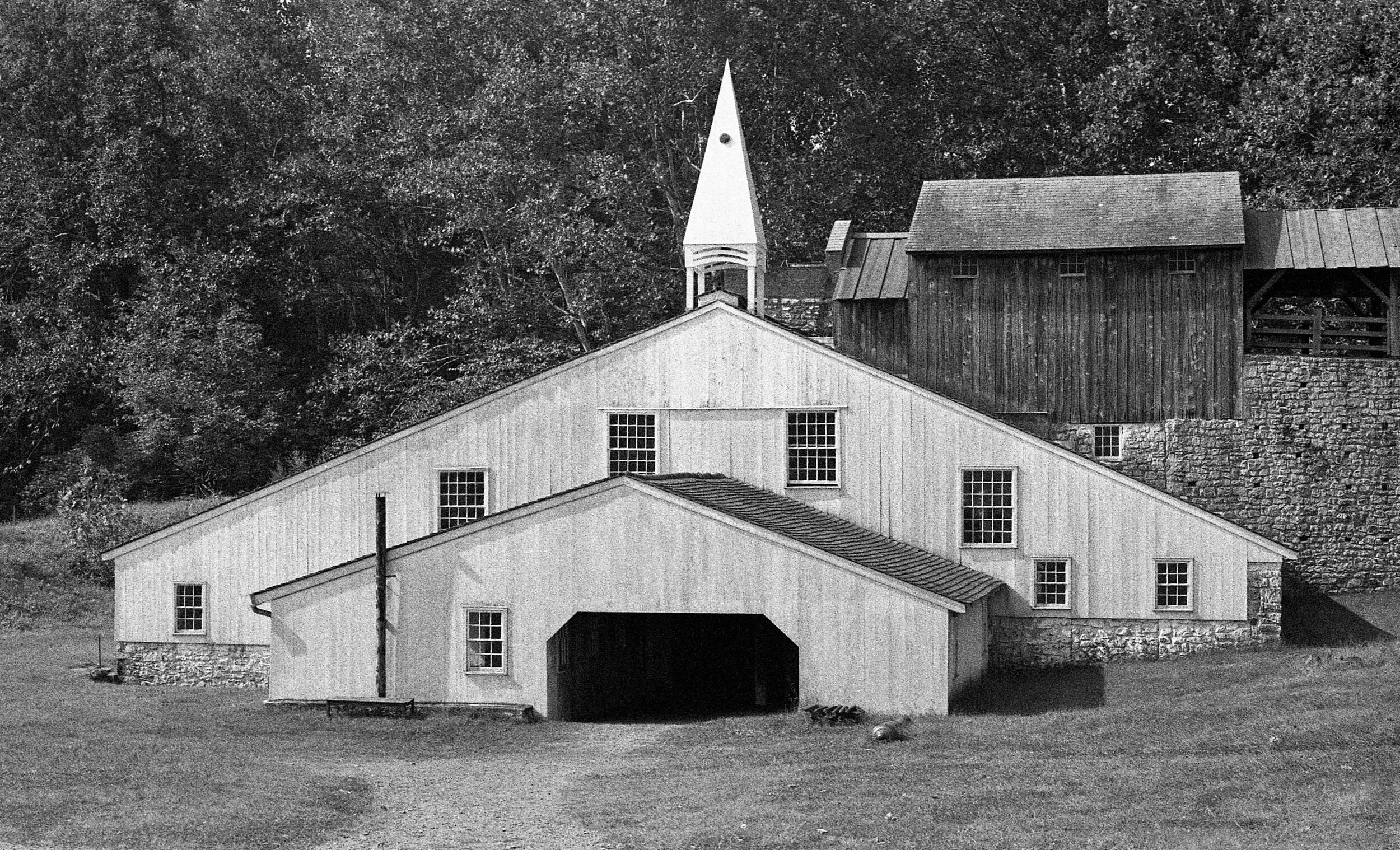 Elverson, PA / Leica M6 / BerggerPancro400 + Coldinal / 9.22.19