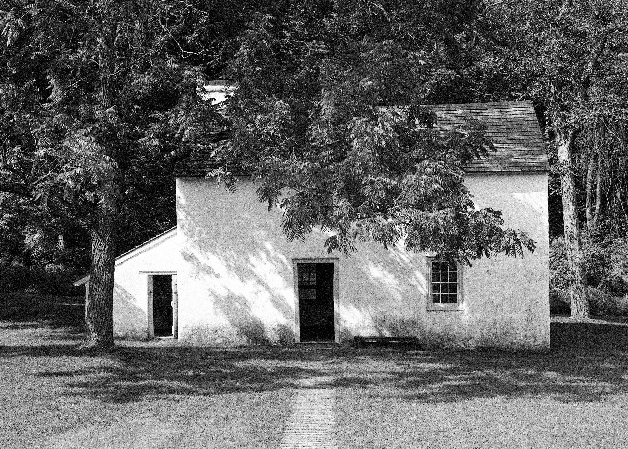 Elverson, PA / Leica M6 / BerggerPancro400 + Coldinal / 9.22.19