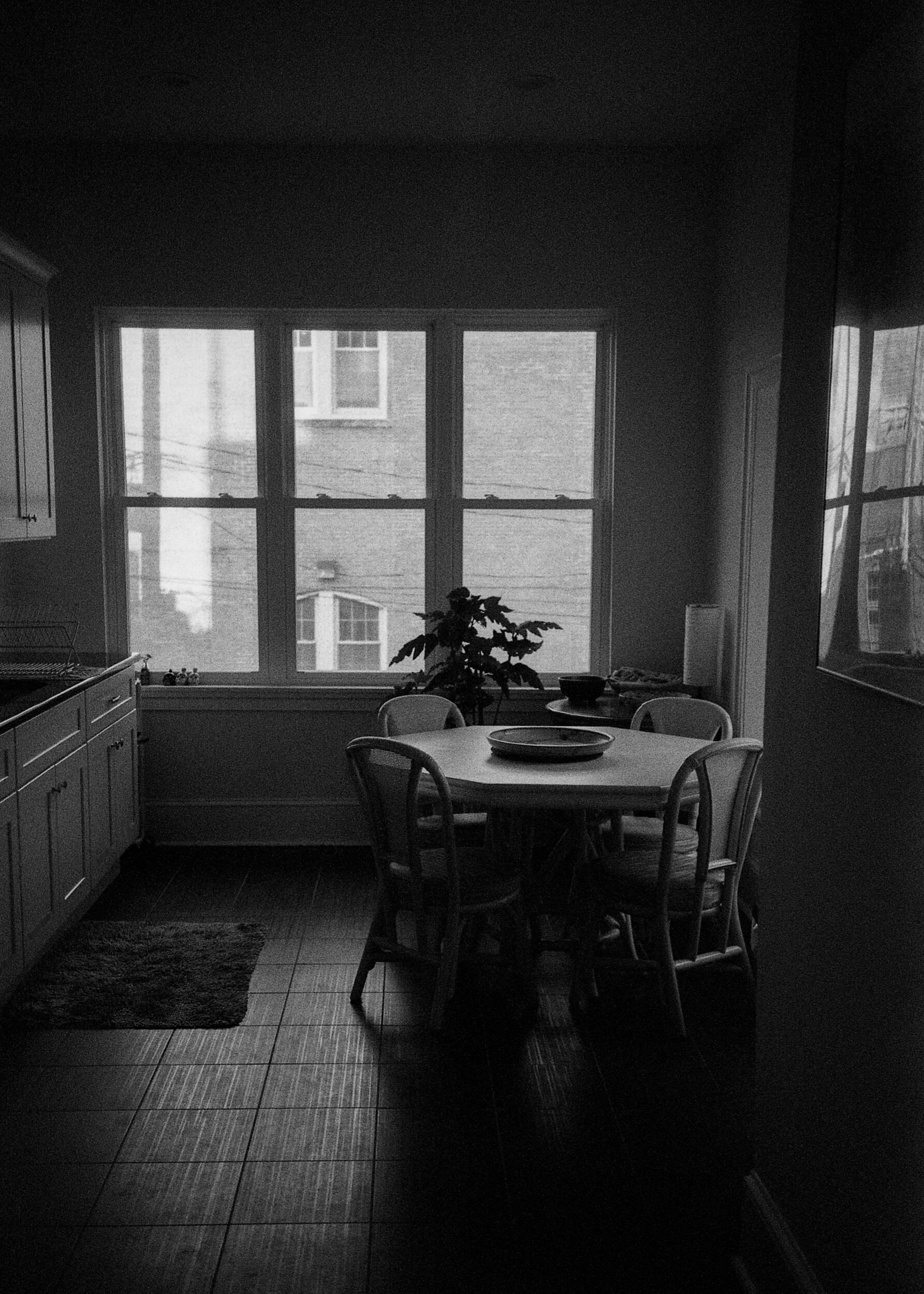 PHL / Nikon L35AF / Fomapan400@800 / 12.23.19