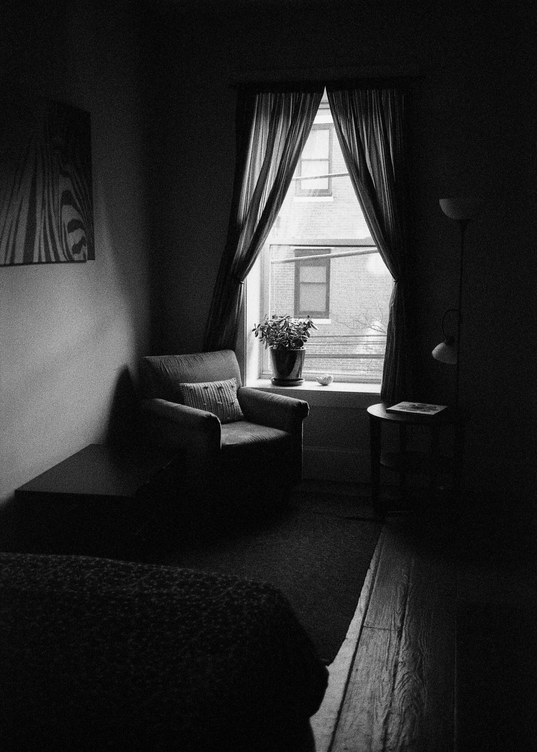 PHL / Nikon L35AF / Fomapan400@800 / 12.23.19