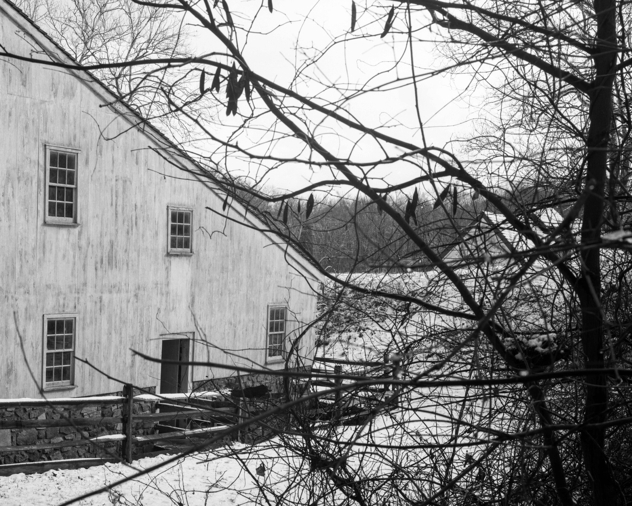 Elverson, PA / Linhof Technika III 4x5 / Catlabs80 / 1.8.20