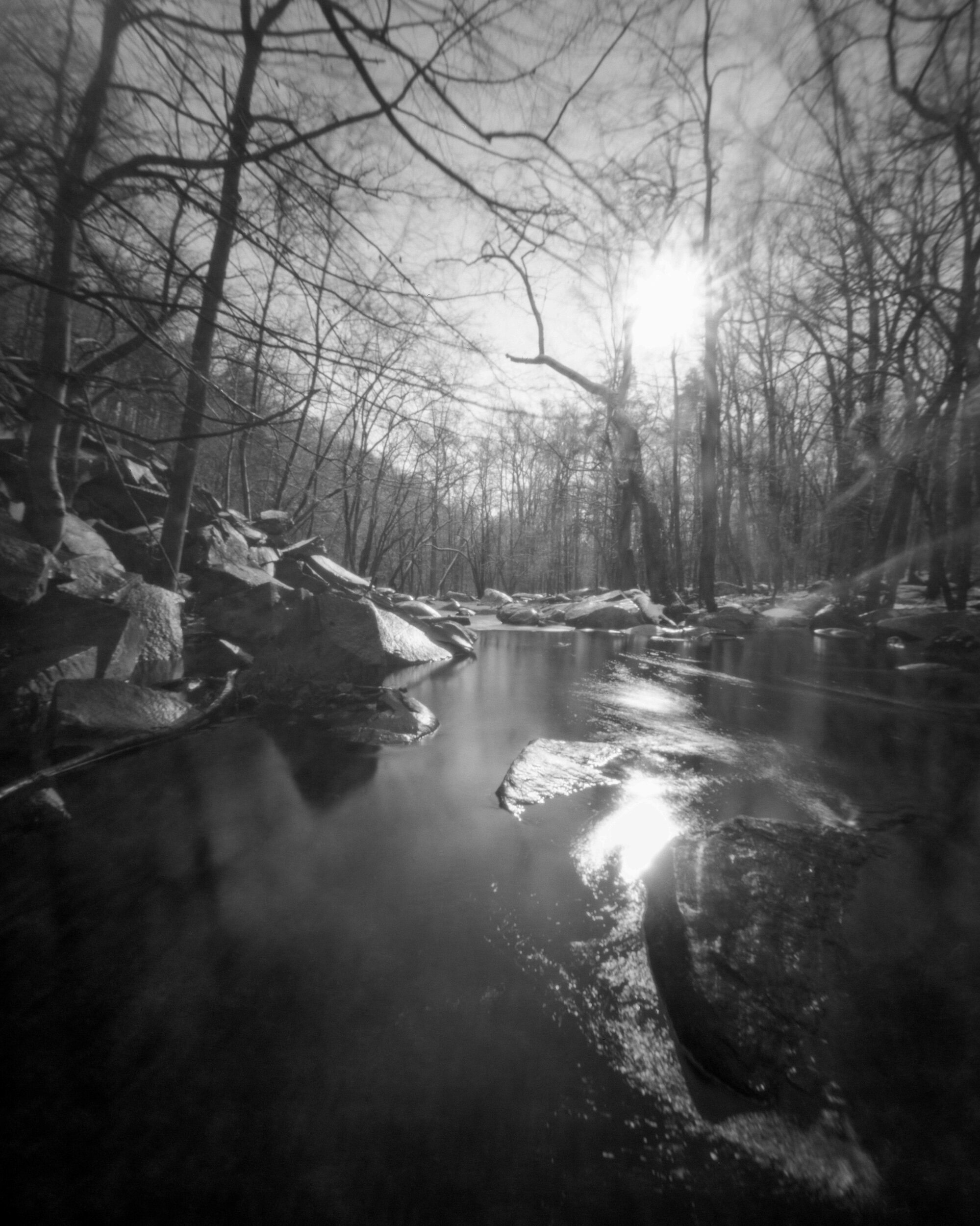 St Peters, PA / Zero Image Pinhole 4x5 / Ortho+80 exp. 04.07 / 1.8.20