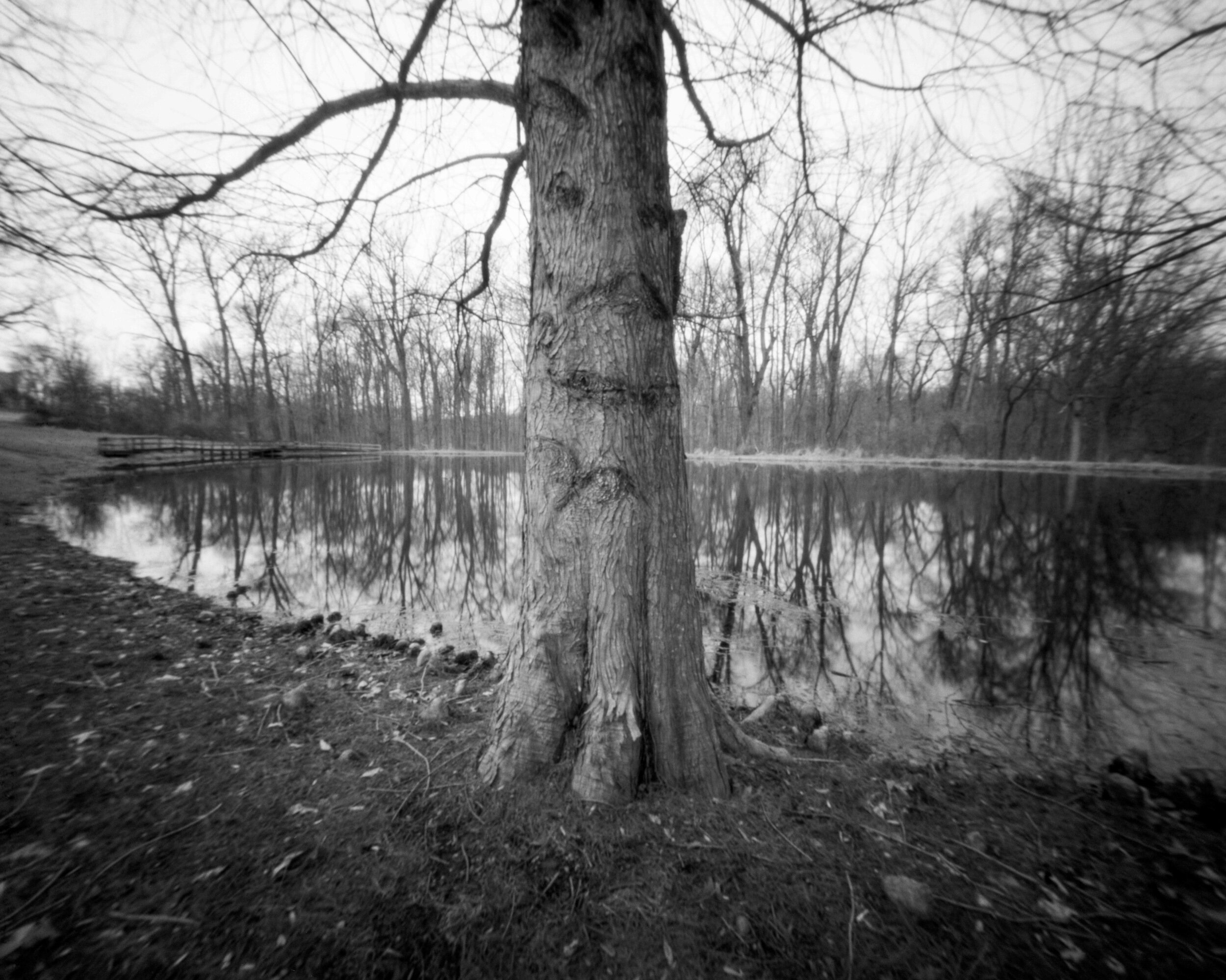 PA / Zero Image Pinhole 4x5 / Acros100 exp. / 2.12.20