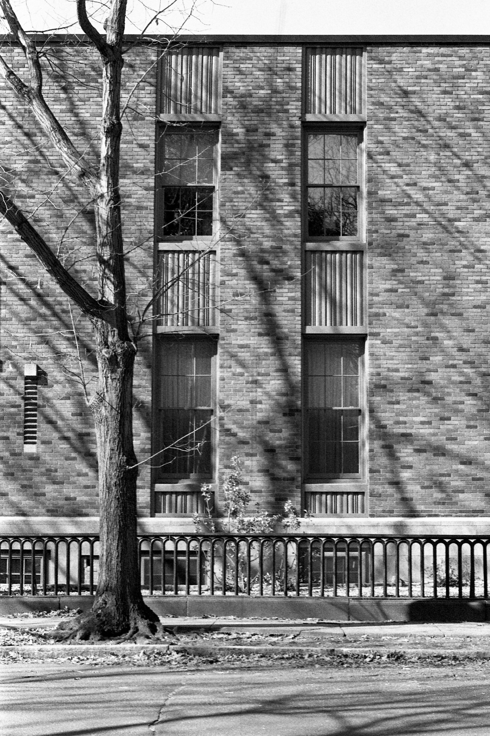 New Haven, CT / Nikon F3 / Berlin Kino 400 / 2.23.20