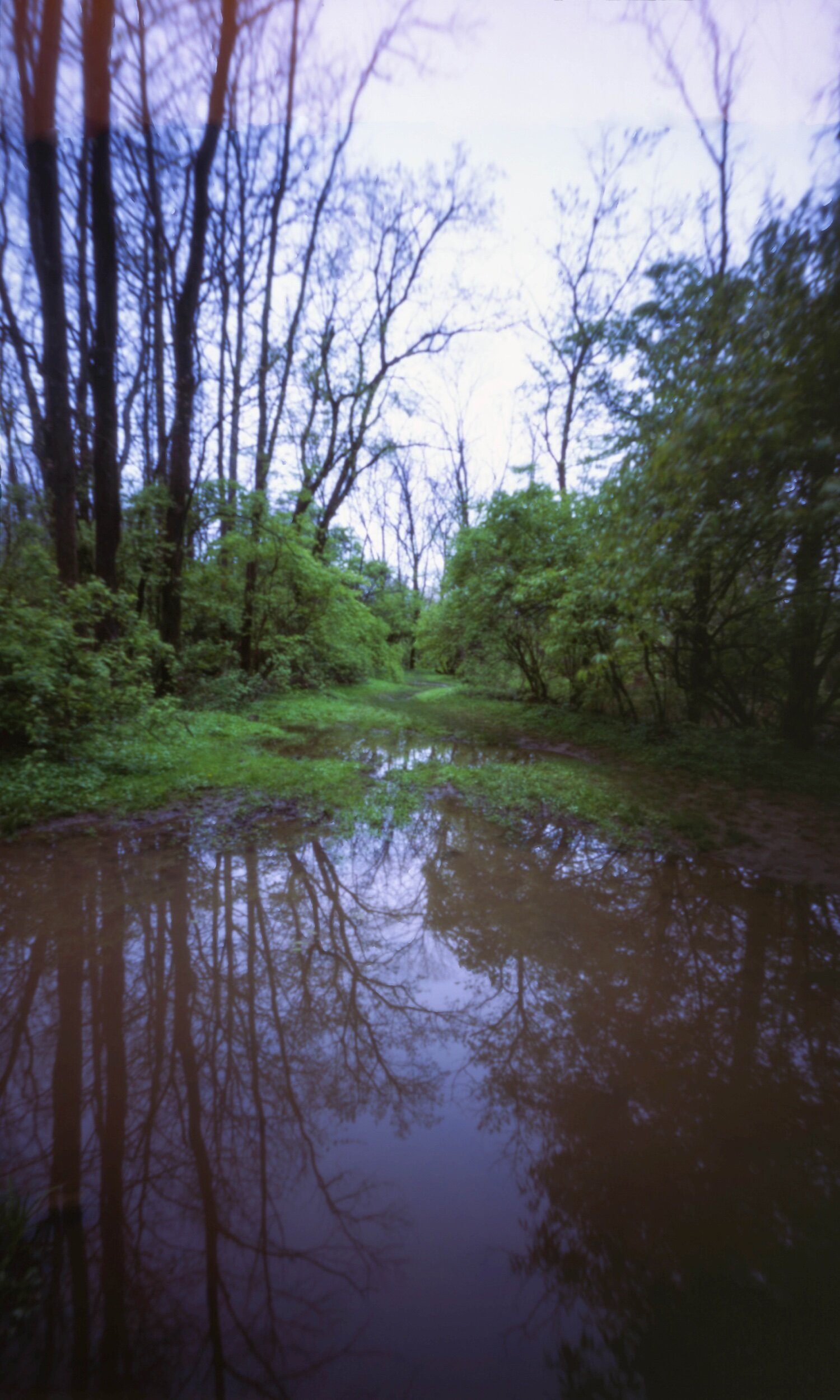 PA / Zero Image 6x9 / Velvia50 / 4.26.20