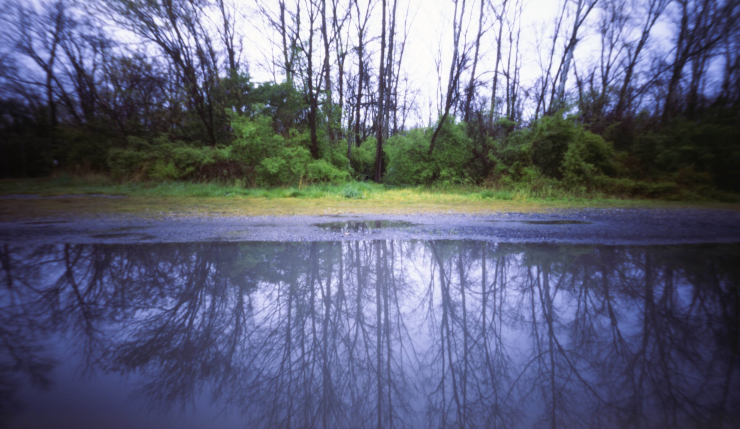 PA / Zero Image 6x9 / Velvia50 / 4.26.20