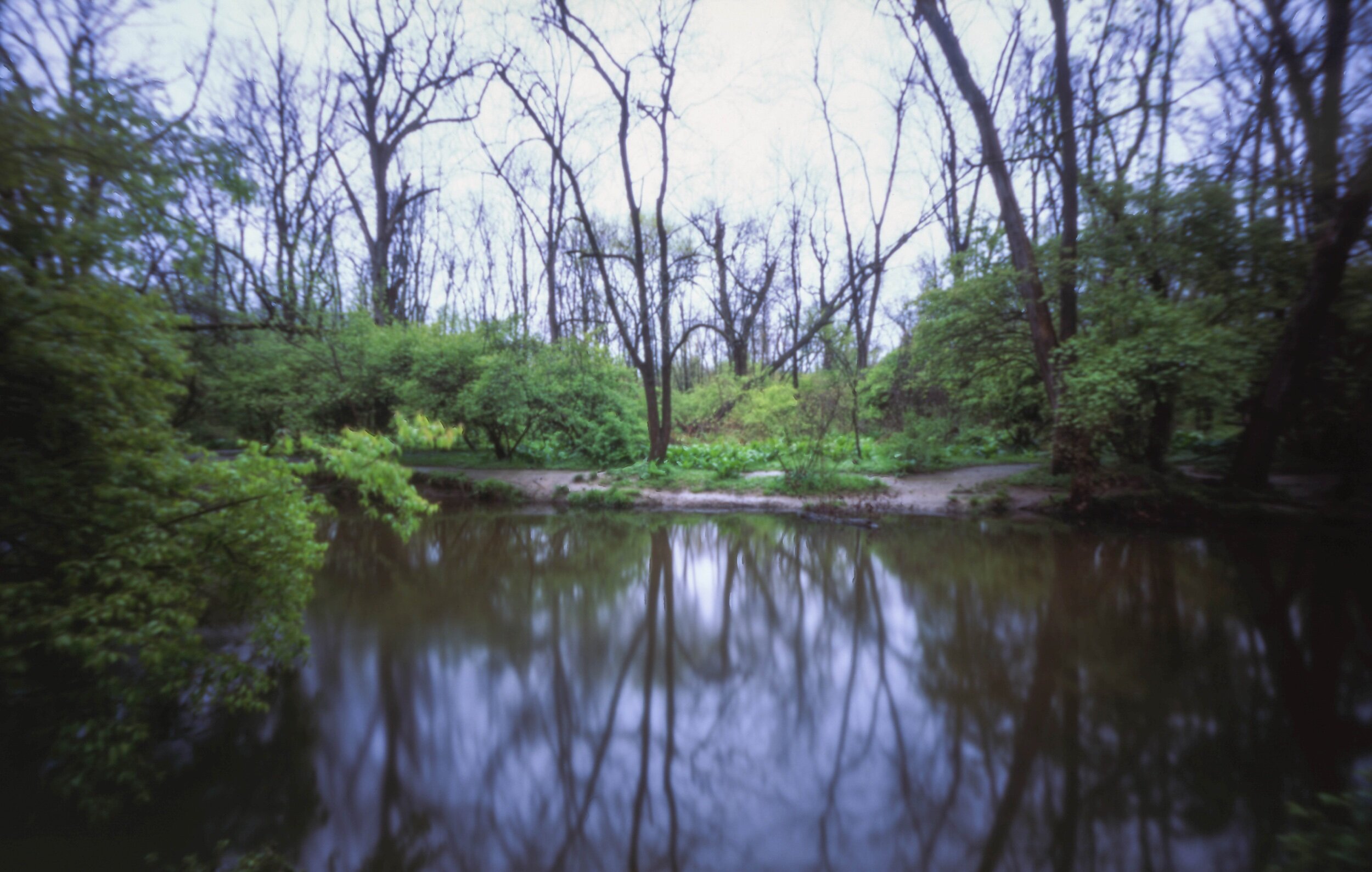 PA / Zero Image 6x9 / Velvia50 / 4.26.20