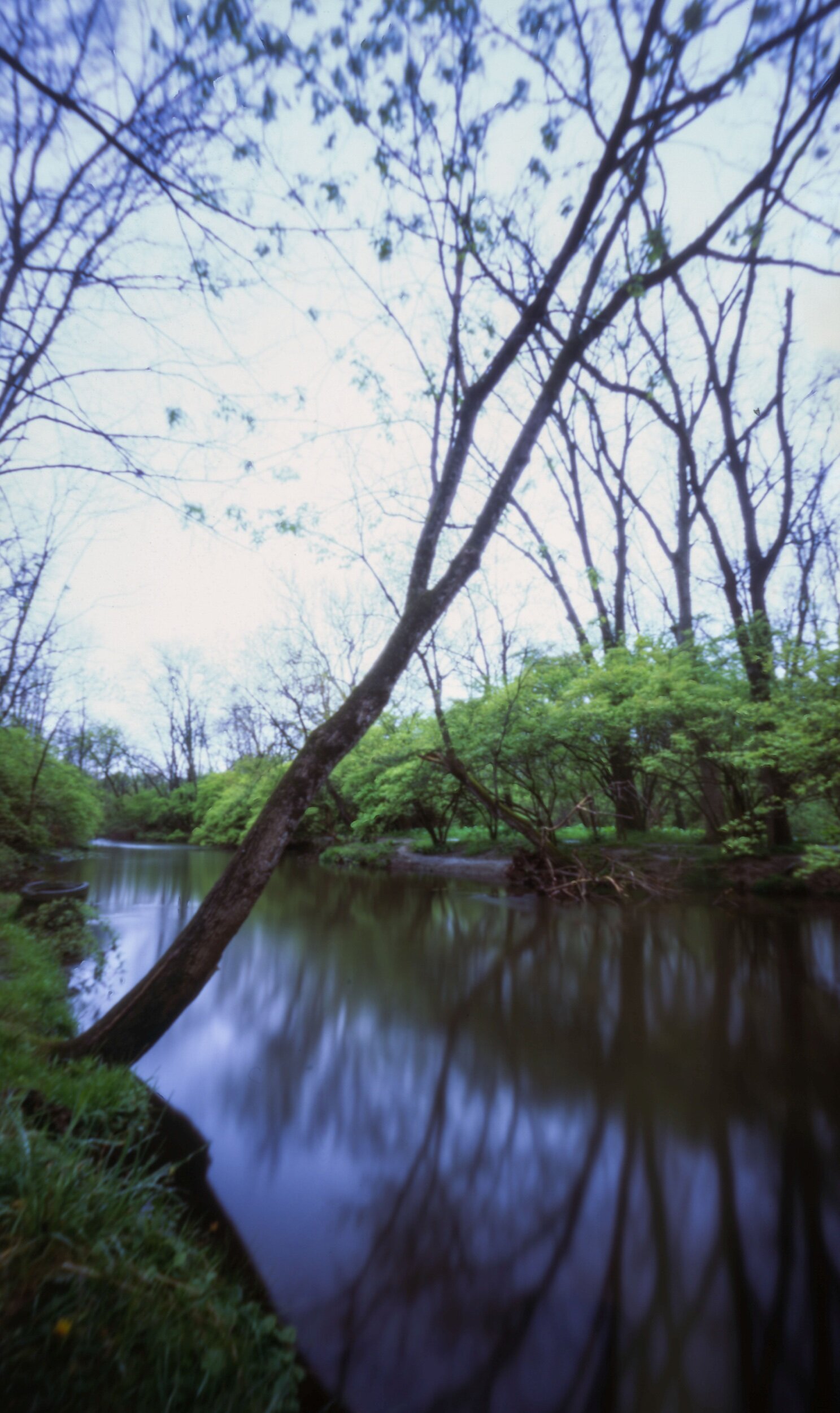 PA / Zero Image 6x9 / Velvia50 / 4.26.20