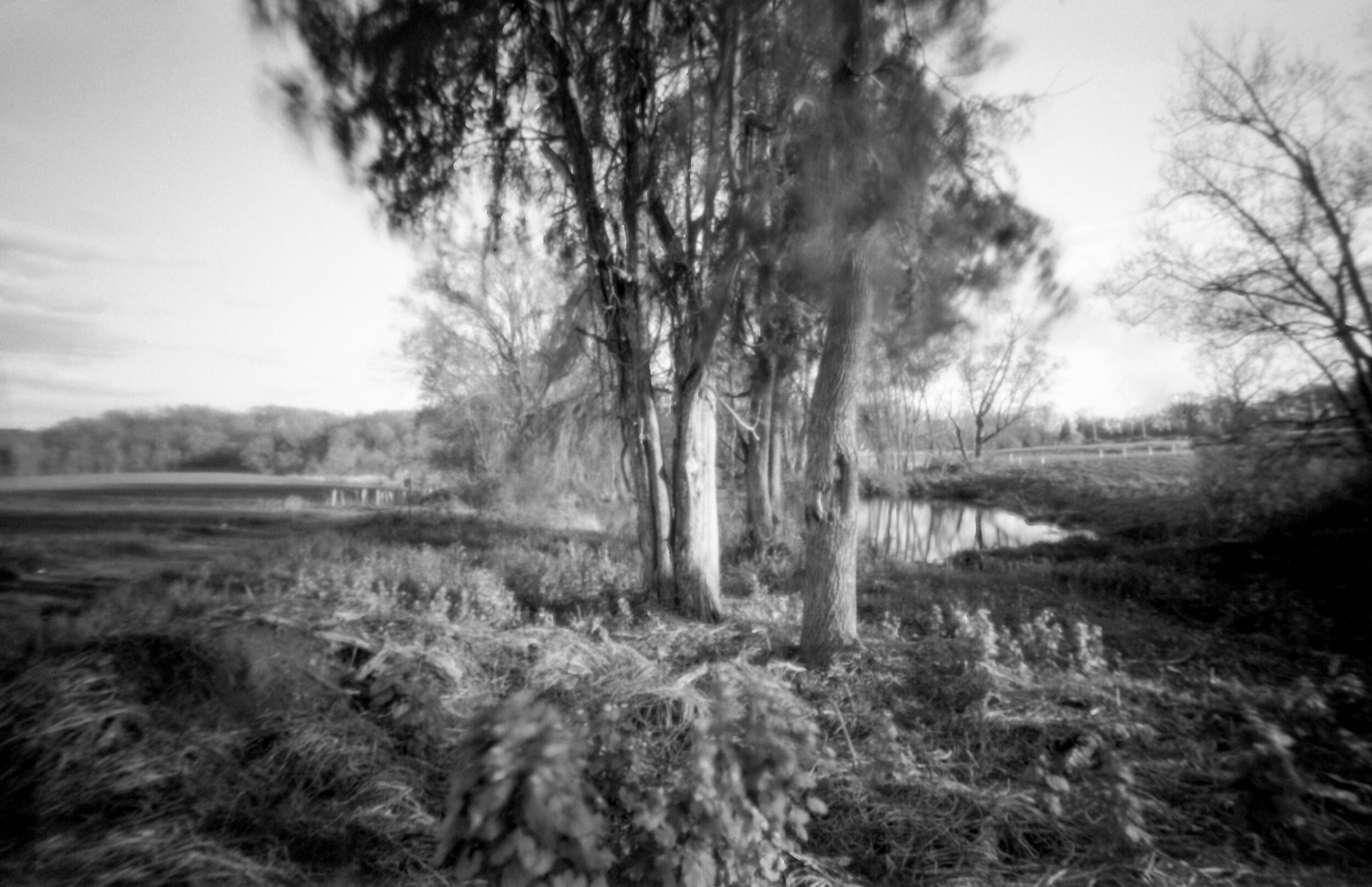 PA / Zero Image 6x9 / AfgaAPX400 exp. / 4.19.20