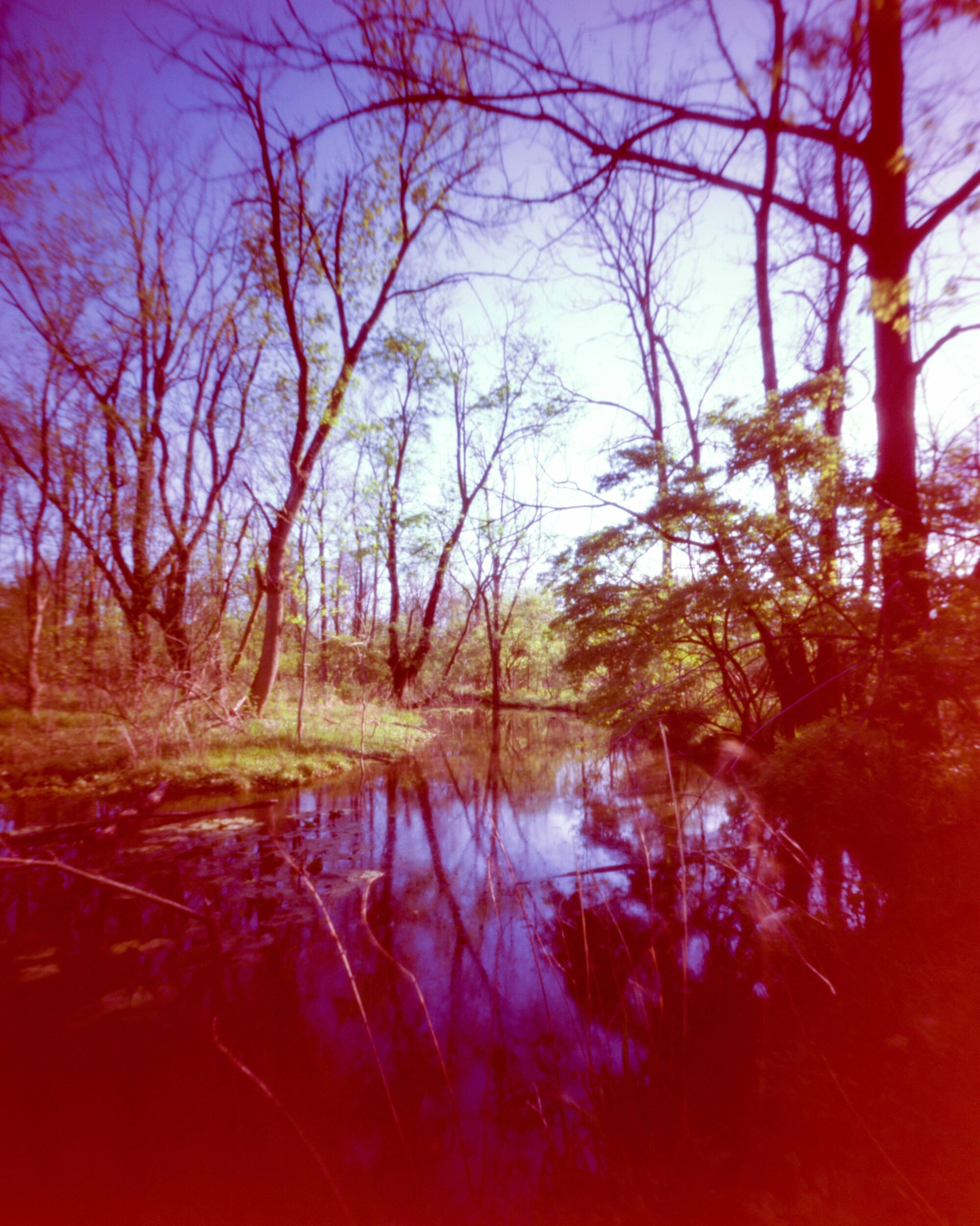 PA / Zero Image 4x5 / Velvia50 Exp. '00 / 5.3.20